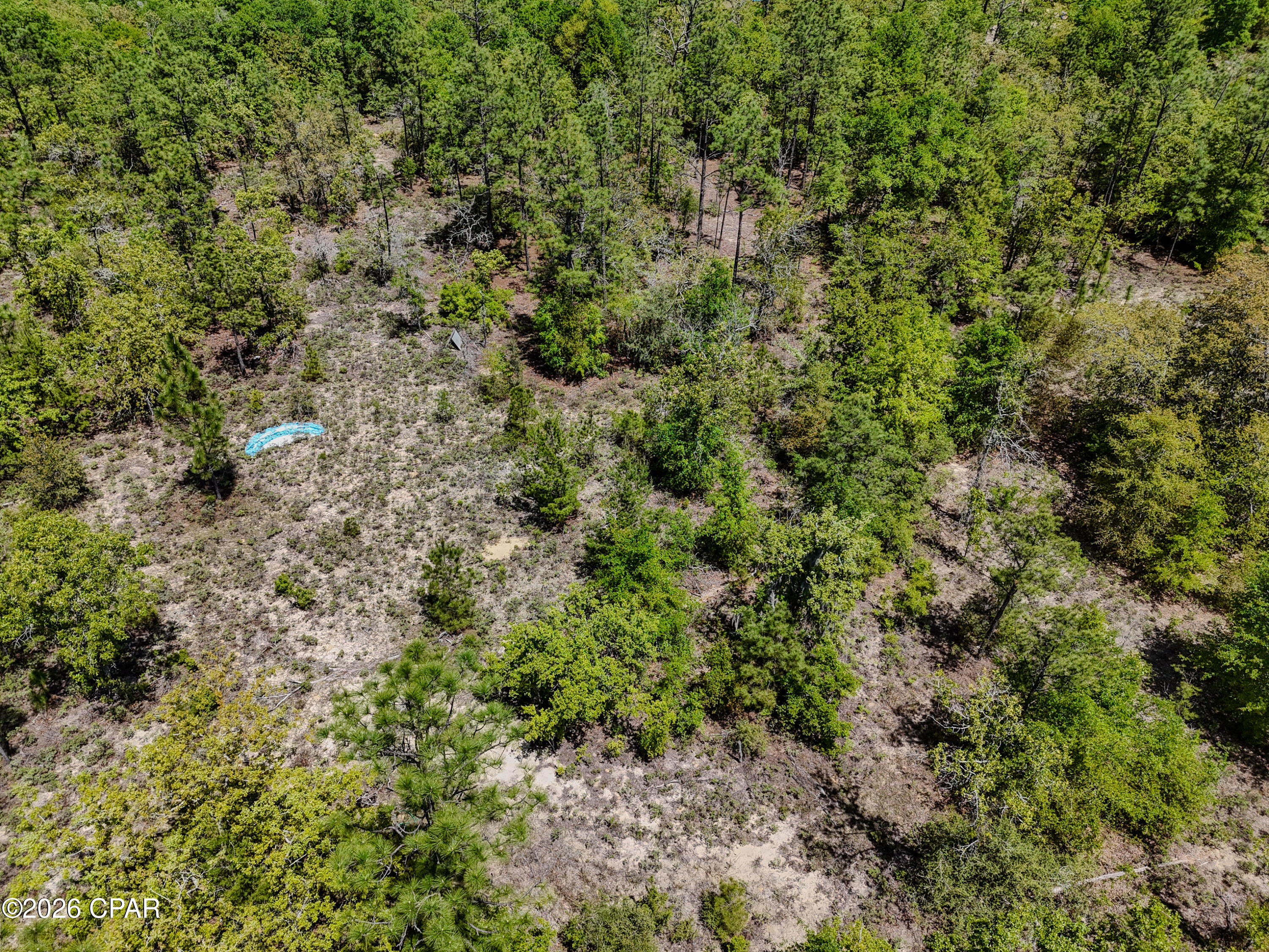 Image 9 For 21937 Clarks Road