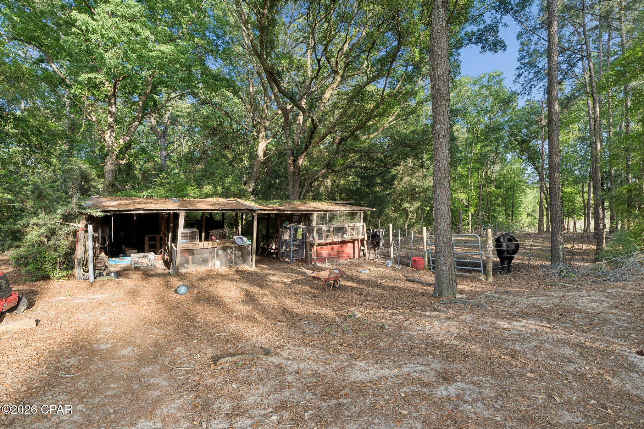 Image 34 For 1443 Bradley Lane