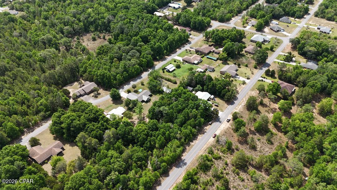 Image 5 For 00 Amy Lane 