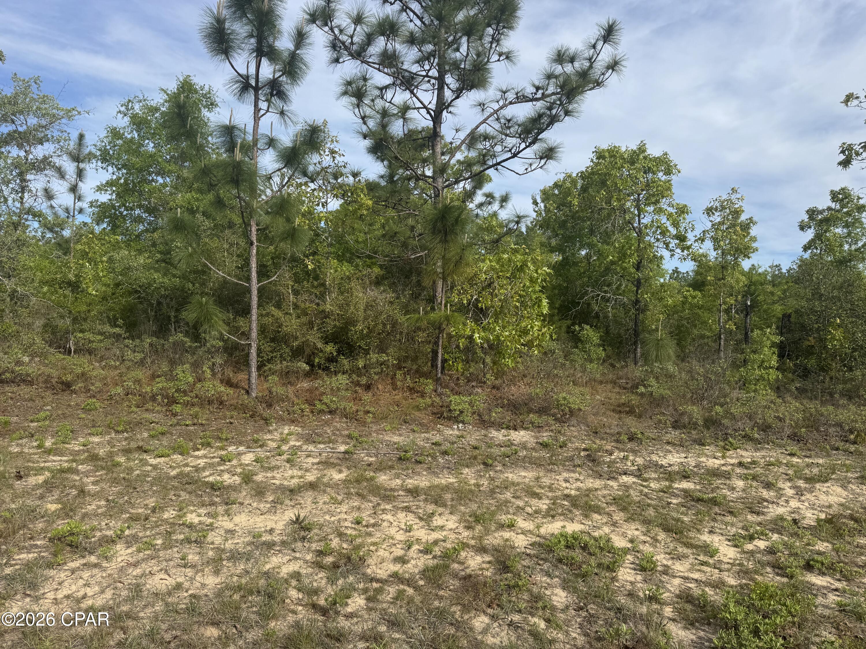 Details for 0000 Greenview Drive, Chipley, FL 32428