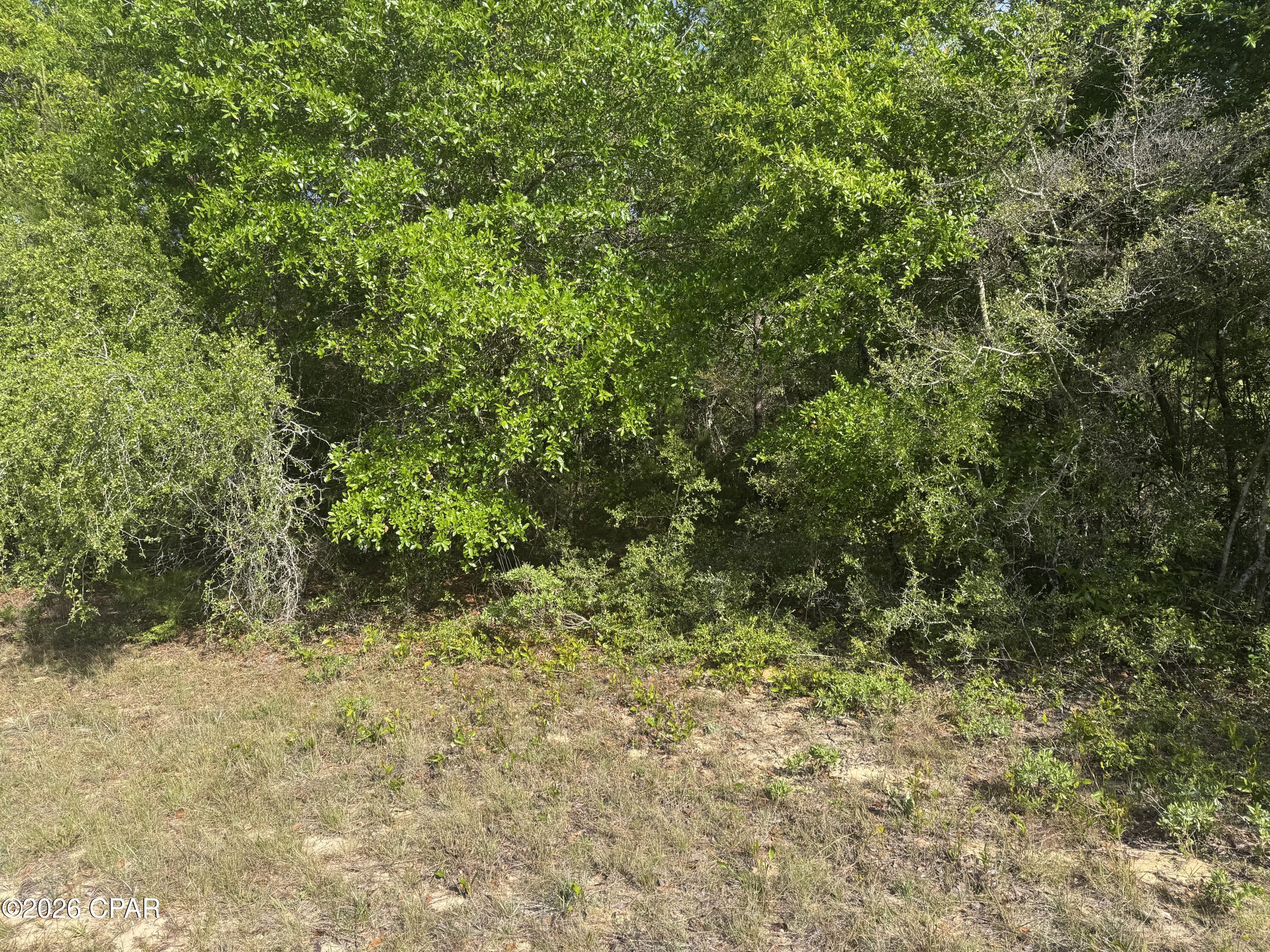 Details for 0000 Devonshire Drive, Chipley, FL 32428