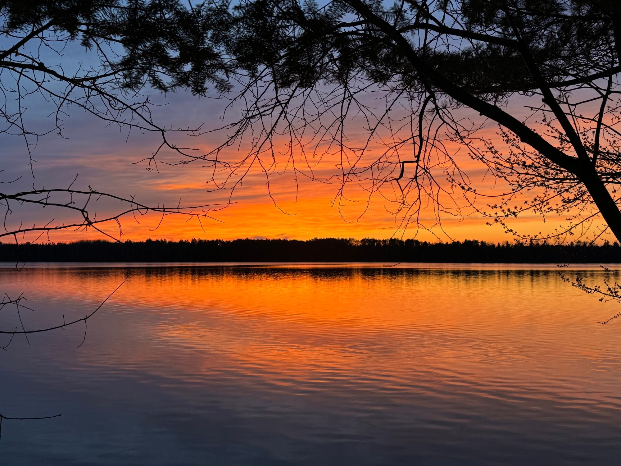 Pickerel Lake (N) Property 8698 Guest Rd Photo 31