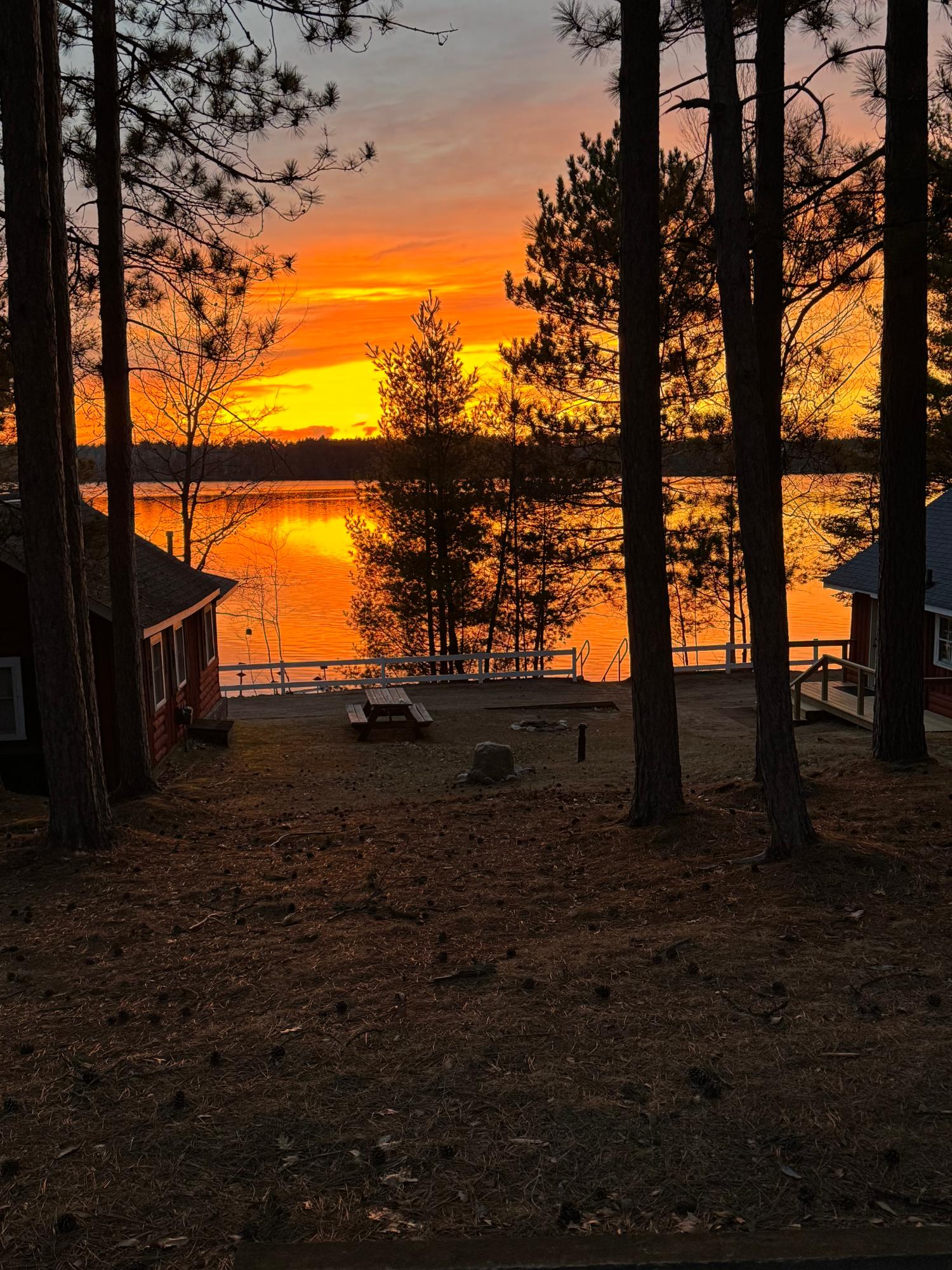 Pickerel Lake (N) Property 8698 Guest Rd Photo 35