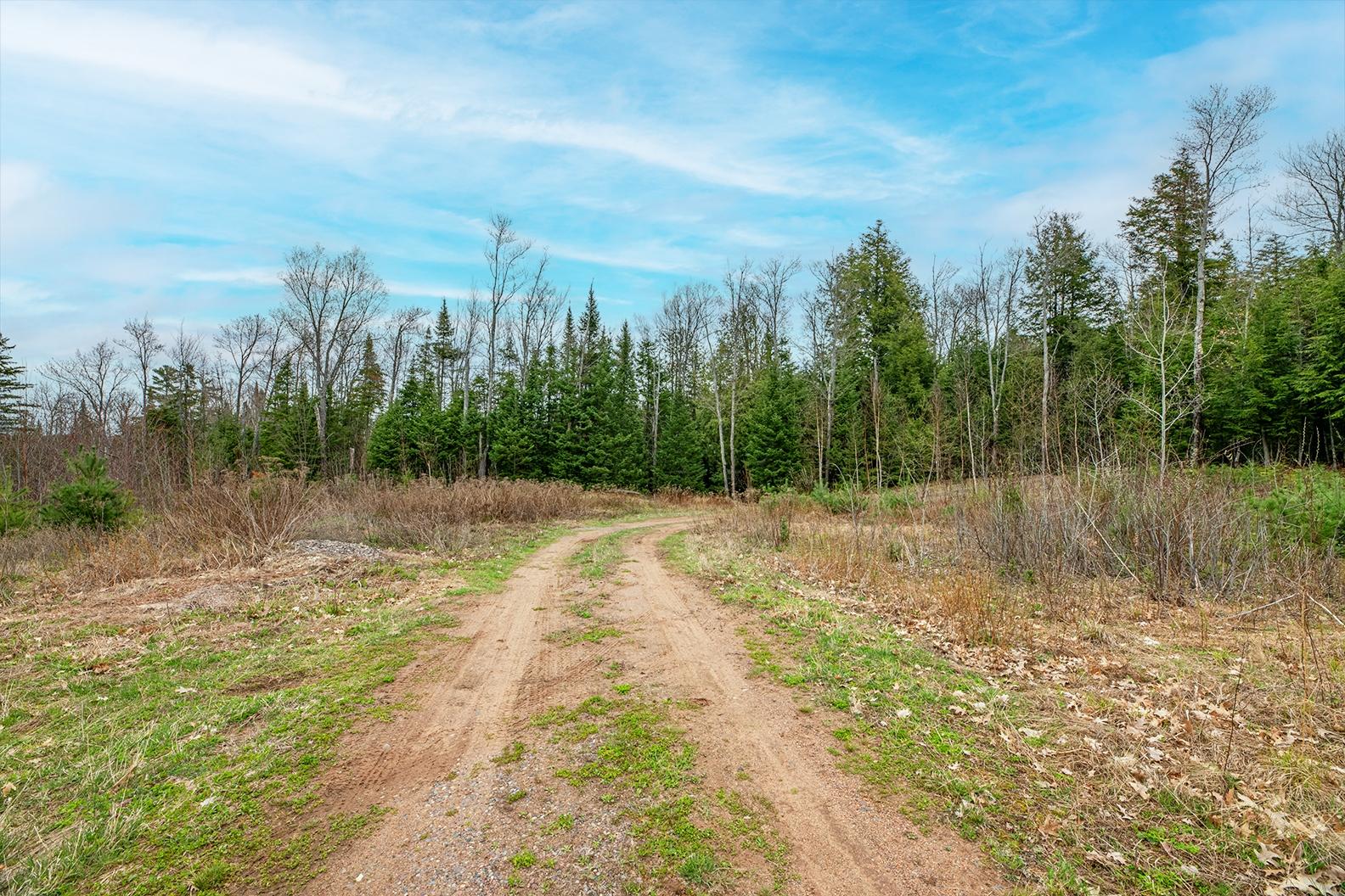 Big Lake (L) Property ON Palmer Lake Rd Photo 16