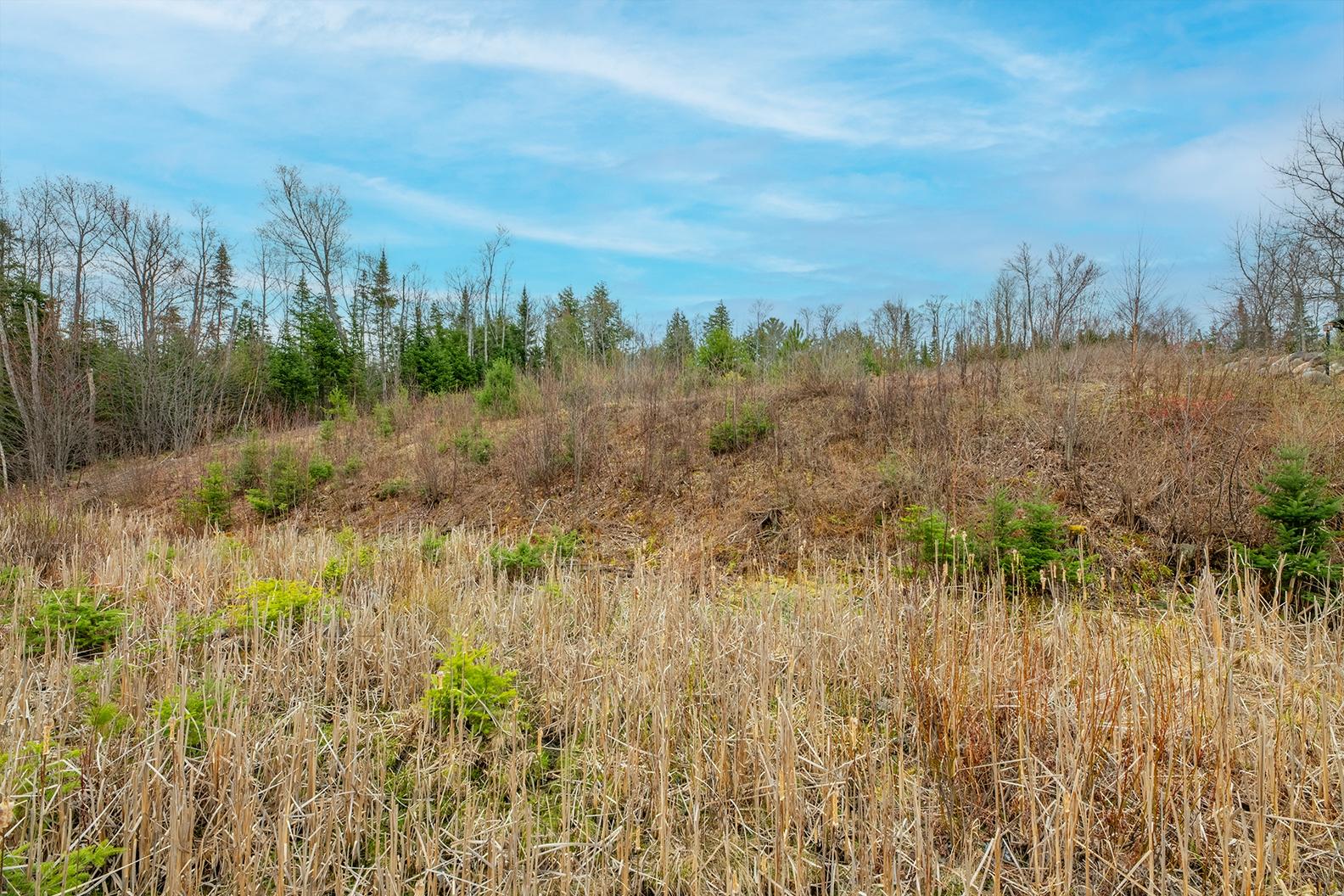 Big Lake (L) Property ON Palmer Lake Rd Photo 21