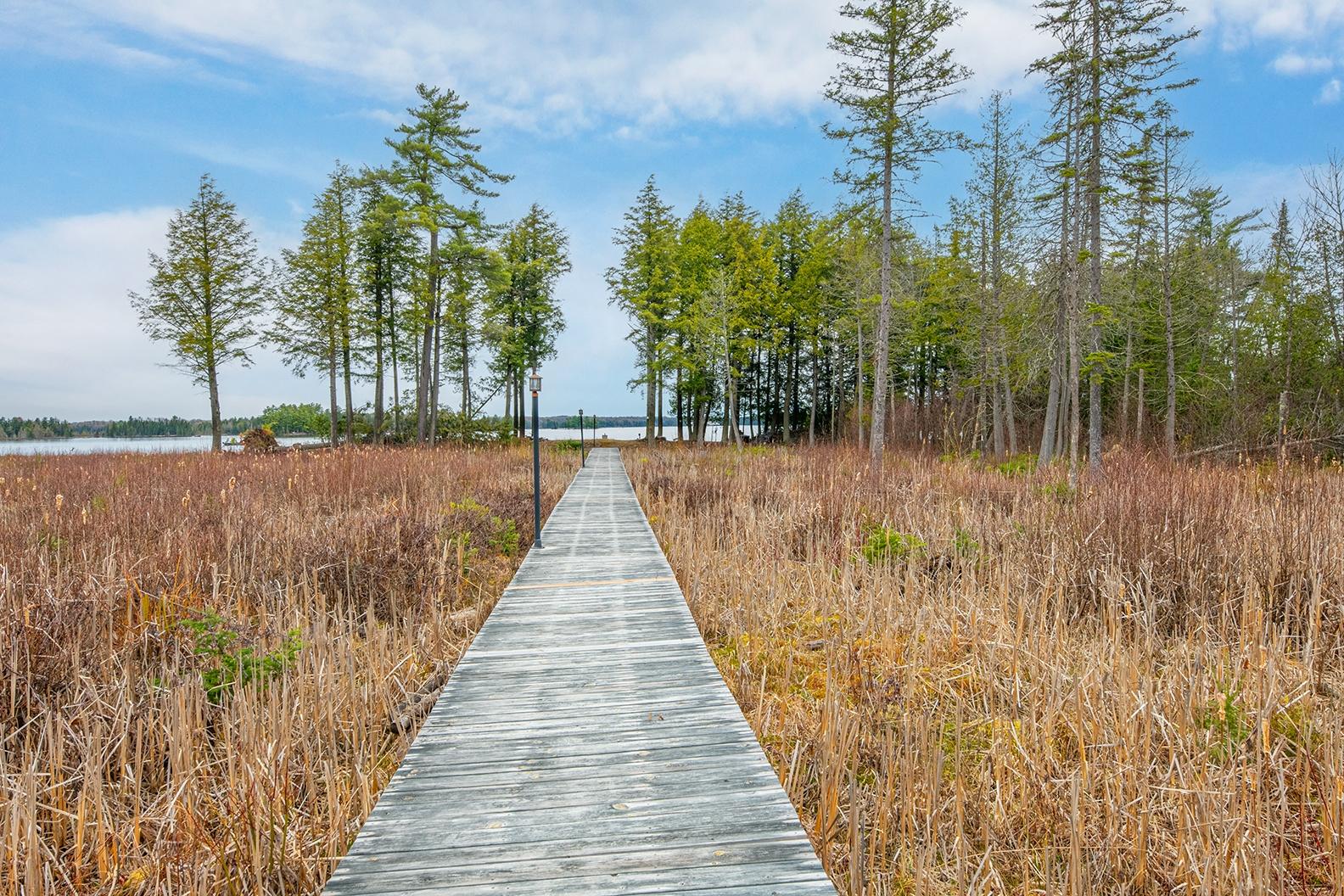 Big Lake (L) Property ON Palmer Lake Rd Photo 4