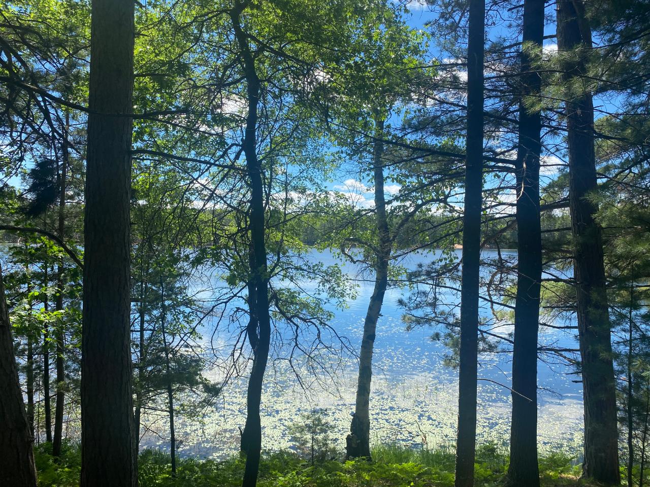 Patricia Lake Property Lot 4 Little Pond Ln Photo 6