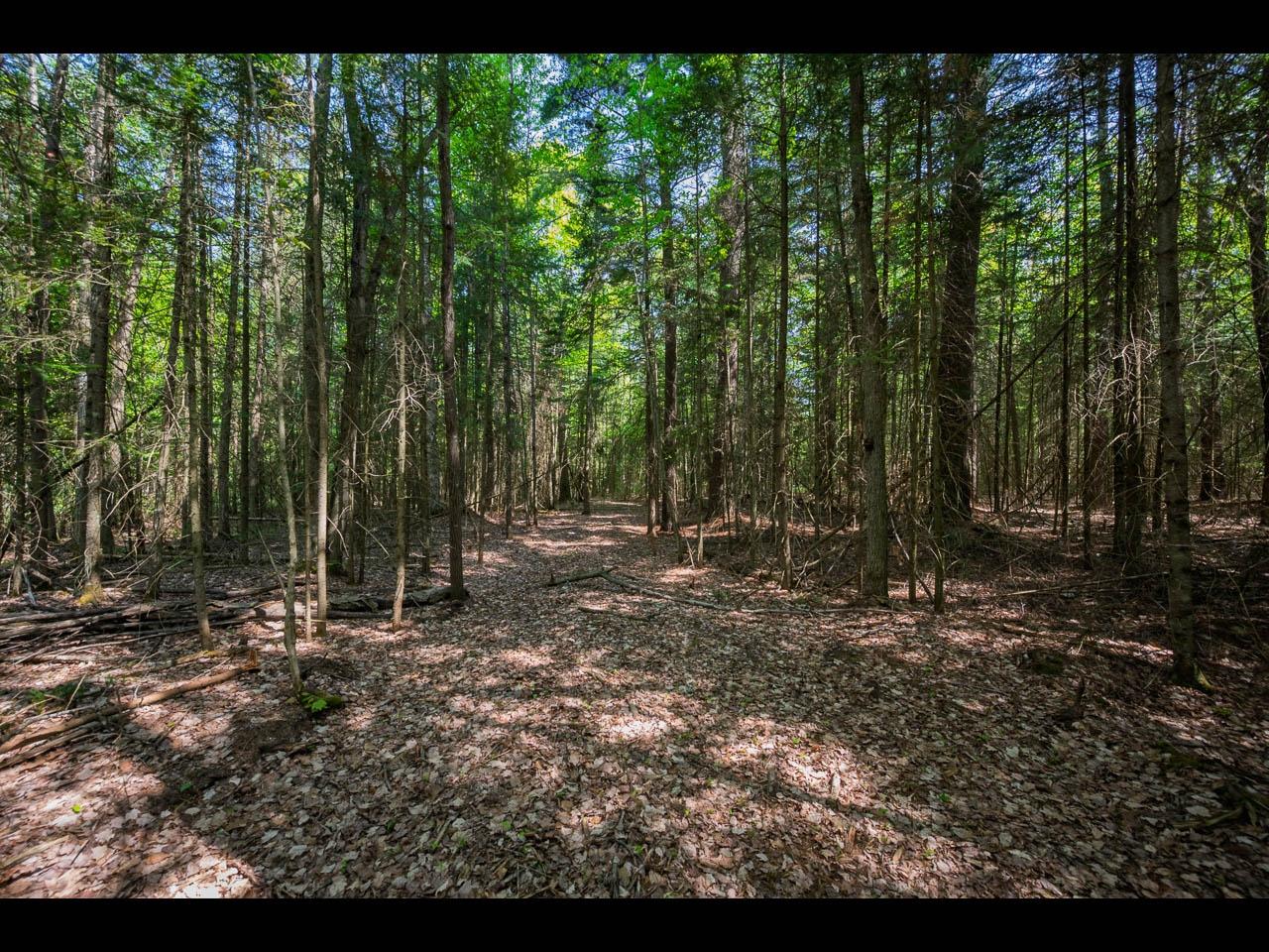 Clearwater Lake Property Lot 1 Memory Ln Photo 4