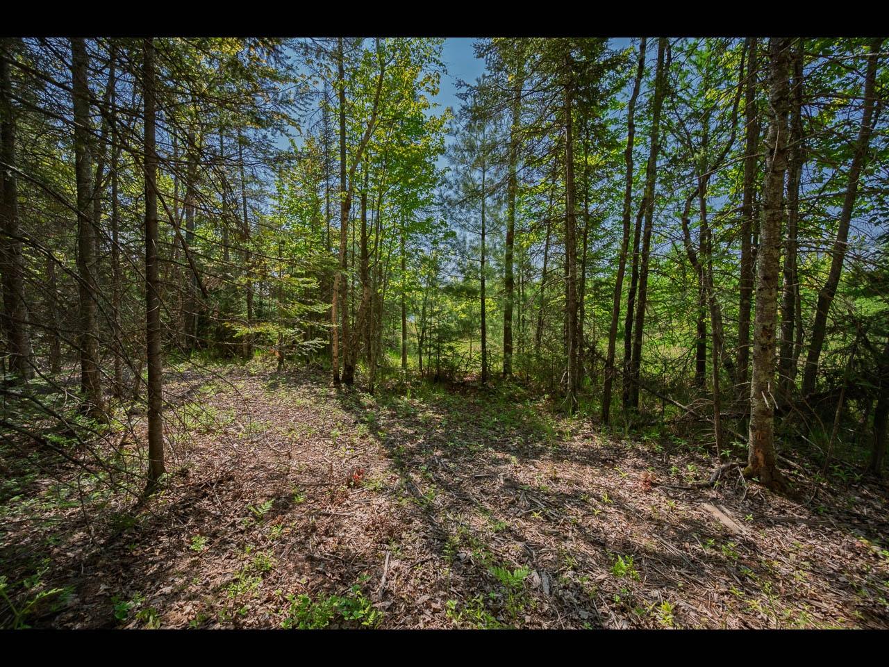 Clearwater Lake Property Lot 1 Memory Ln Photo 5