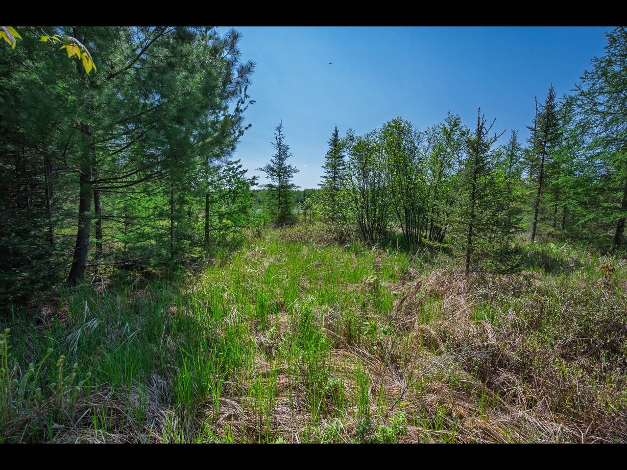 Clearwater Lake Property Lot 1 Memory Ln Photo 6
