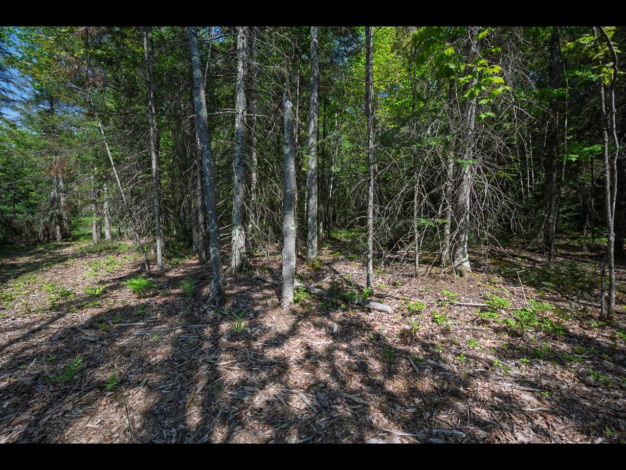 Clearwater Lake Property Lot 1 Memory Ln Photo 8