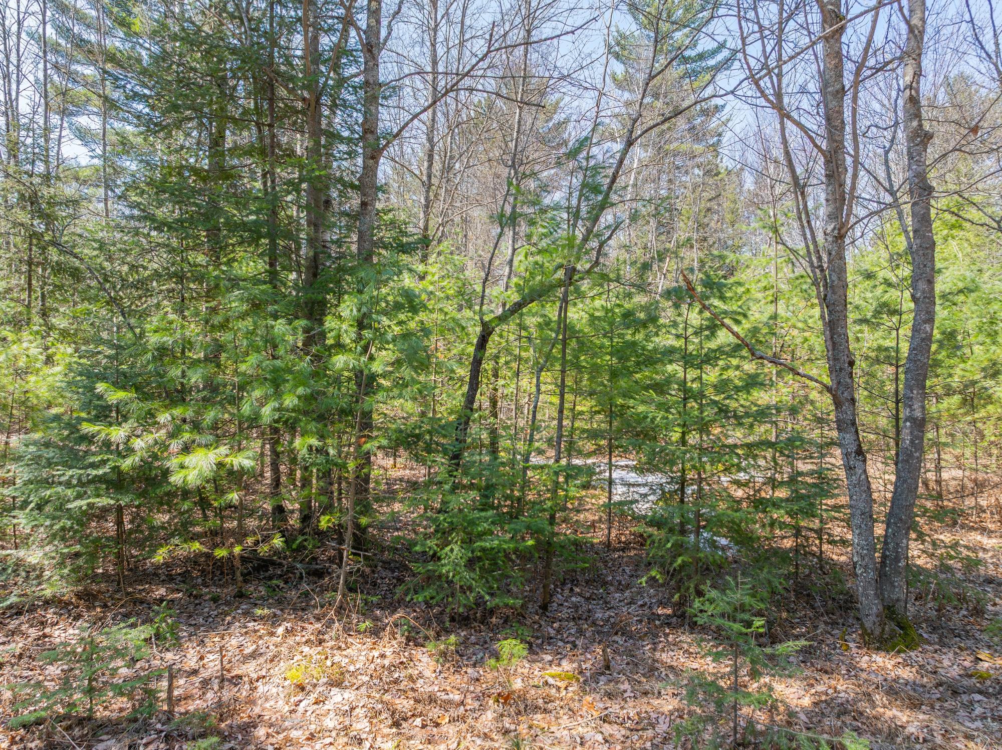 River Property Property Off Watersmeet Lake Rd Photo 11