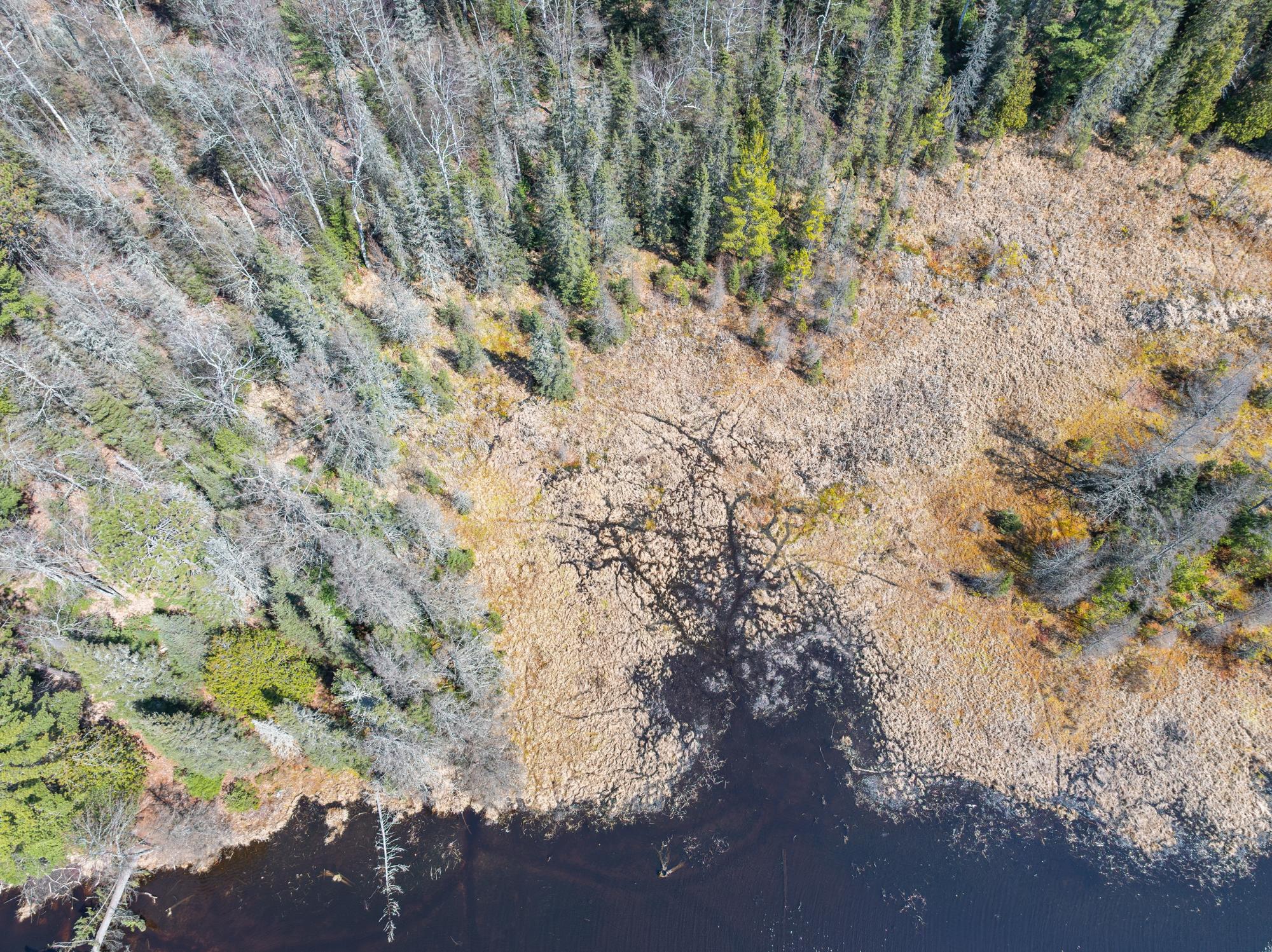River Property Property Off Watersmeet Lake Rd Photo 13