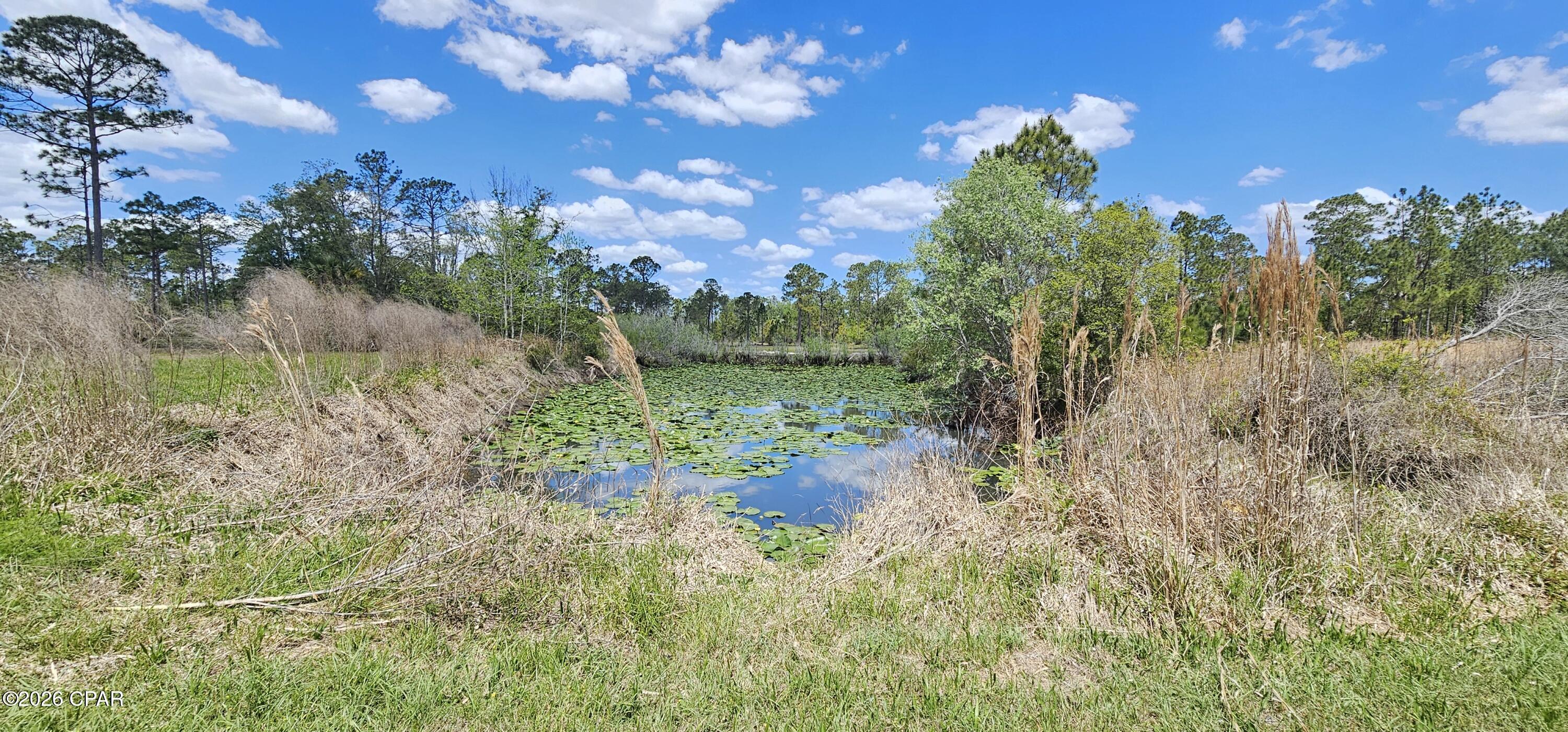 Image 8 For 1890 Ocean Pond Drive