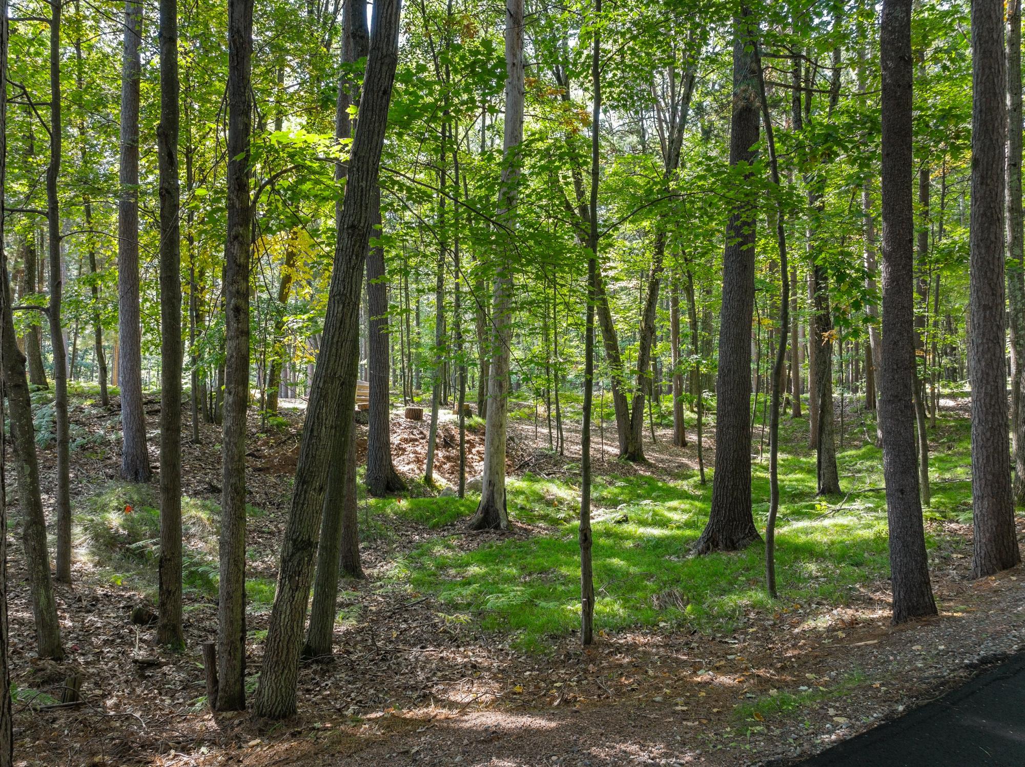 Kawaguesaga Lake Property 8468 Hower Rd Photo 23