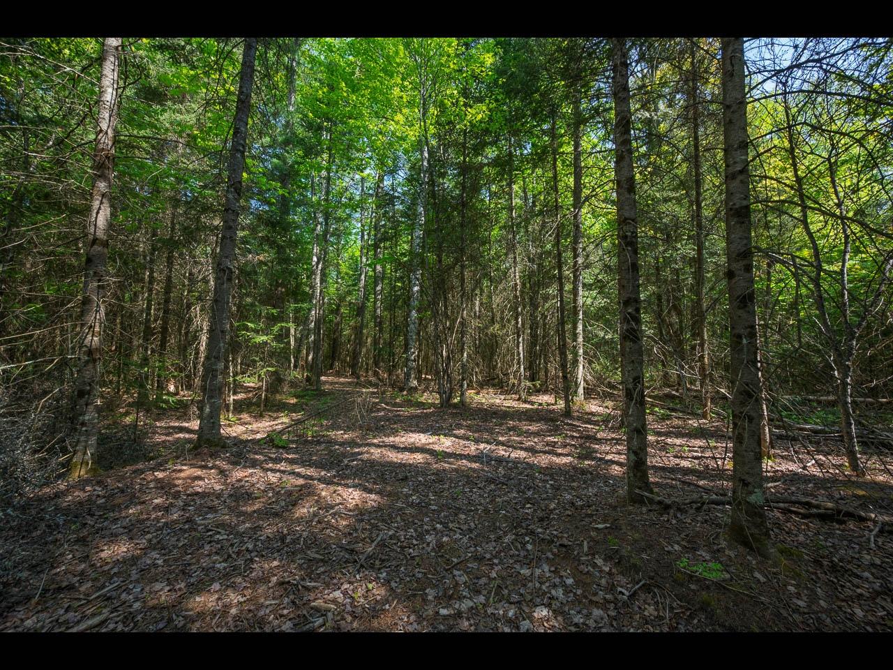 Clearwater Lake Property Lot 2 Memory Ln Photo 3
