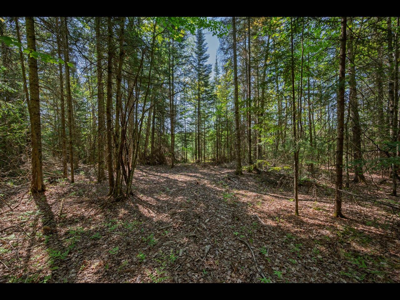 Clearwater Lake Property Lot 2 Memory Ln Photo 5