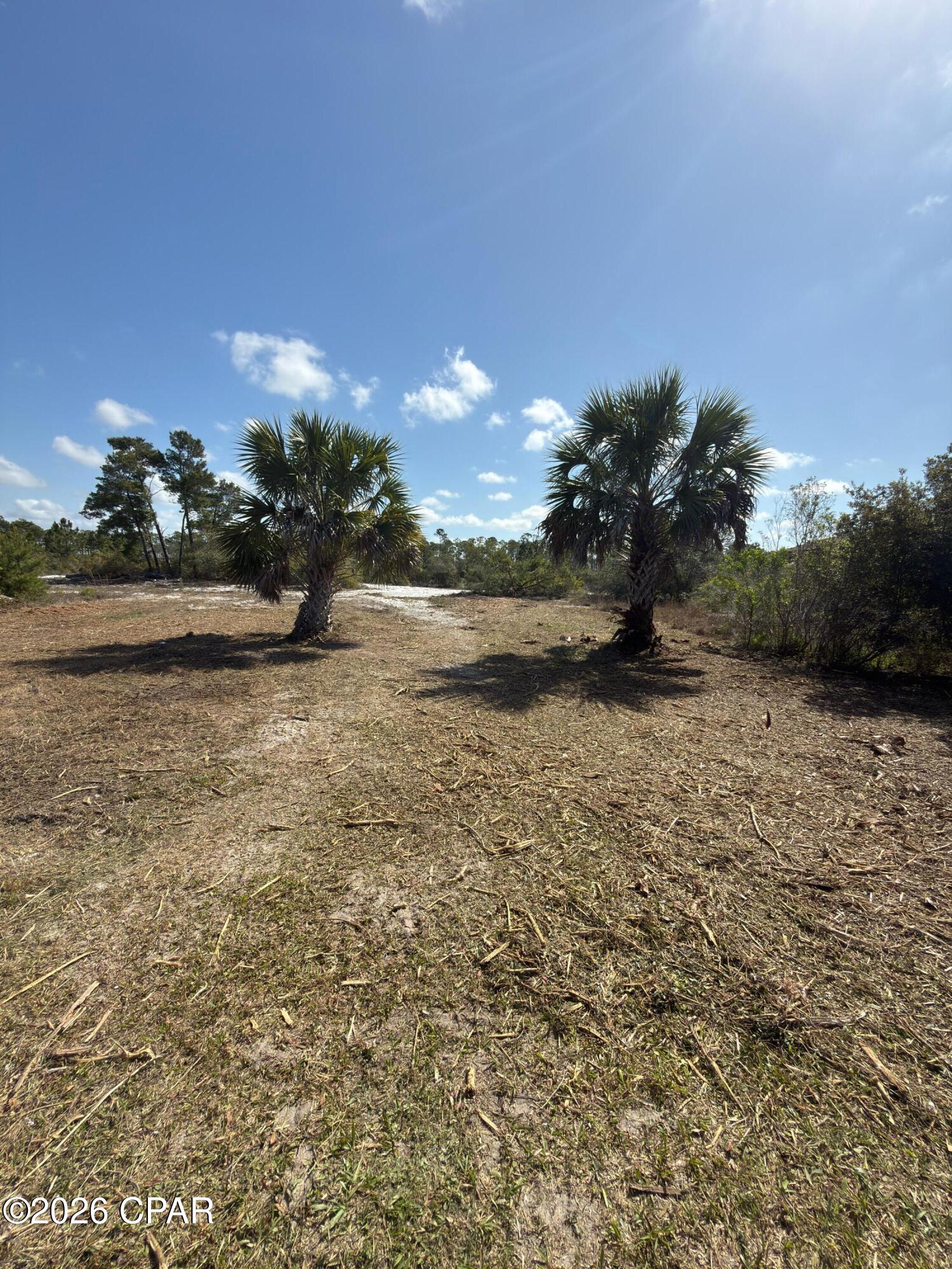 Image 10 For Lot C Adventure Avenue
