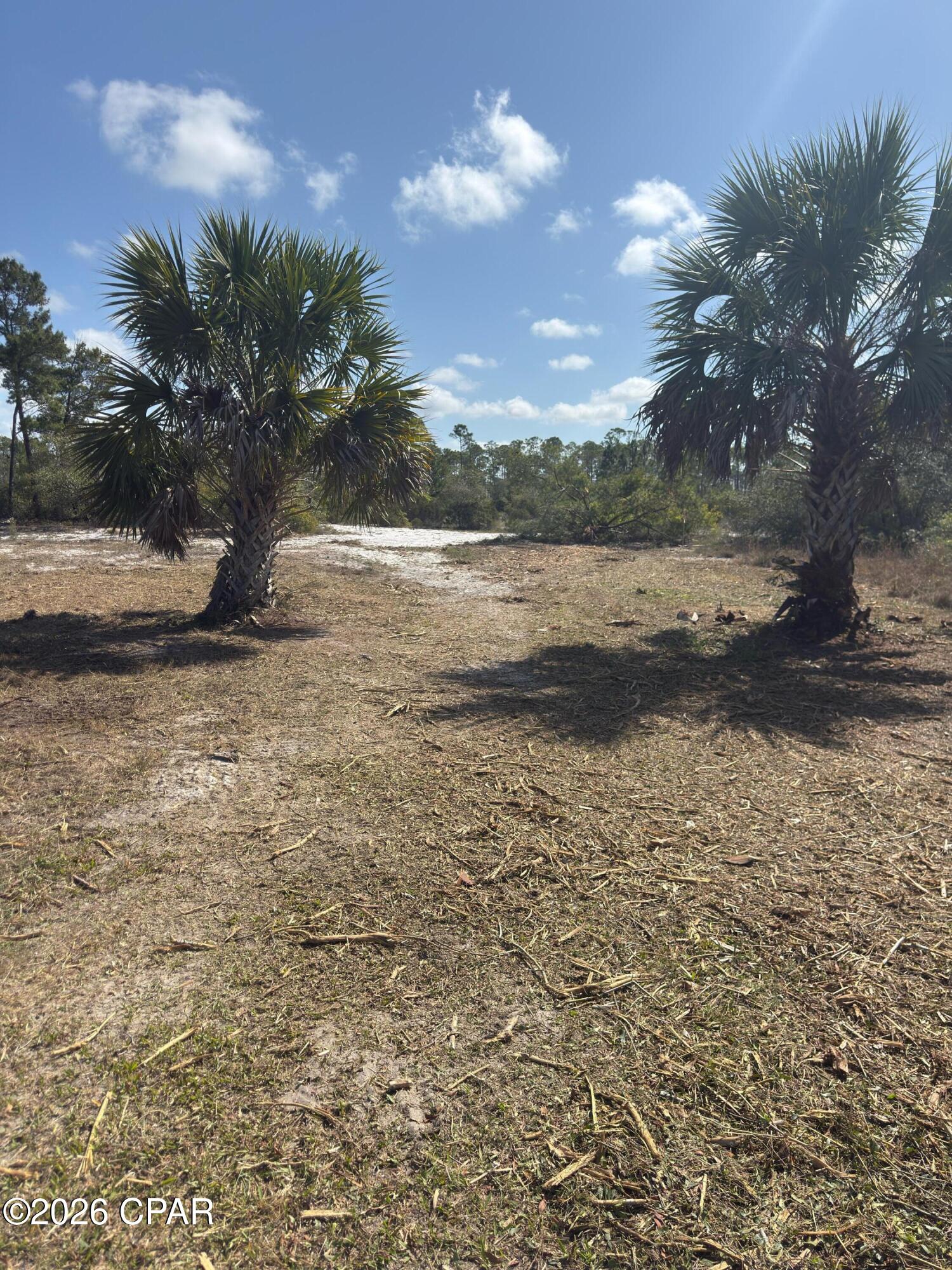 Image 2 For Lot C Adventure Avenue