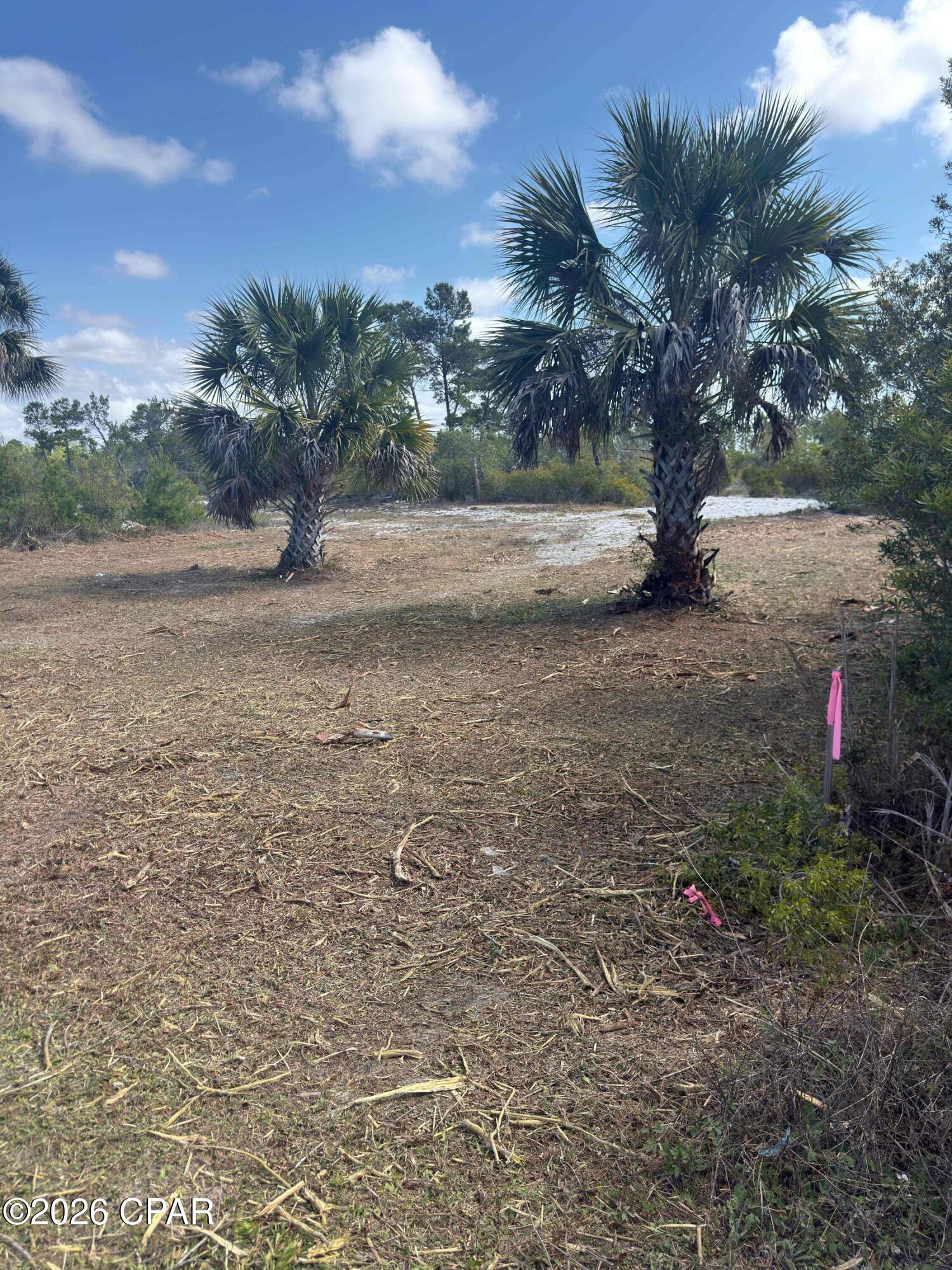 Image 4 For Lot C Adventure Avenue