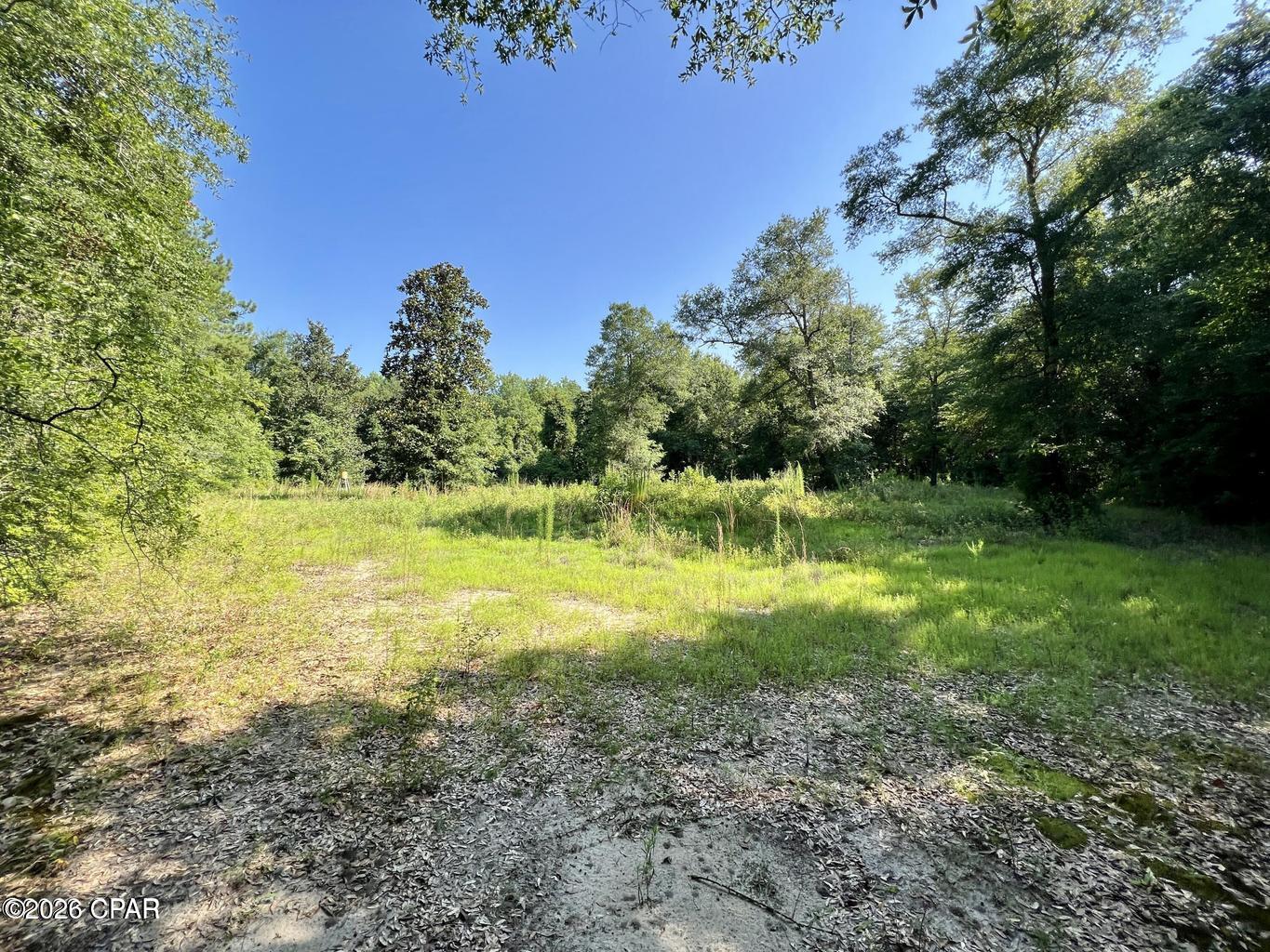 Homes for sale in Bonifay, FL | 00 Broom Road, Bonifay, FL 32425 | MLS# 788480