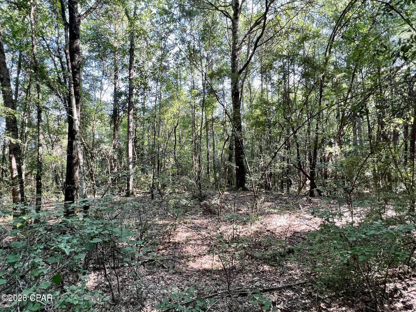 Image 3 For 00 Broom Road