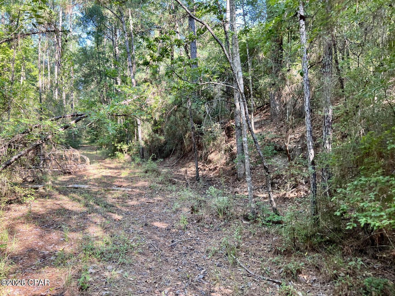 Image 5 For 00 Broom Road