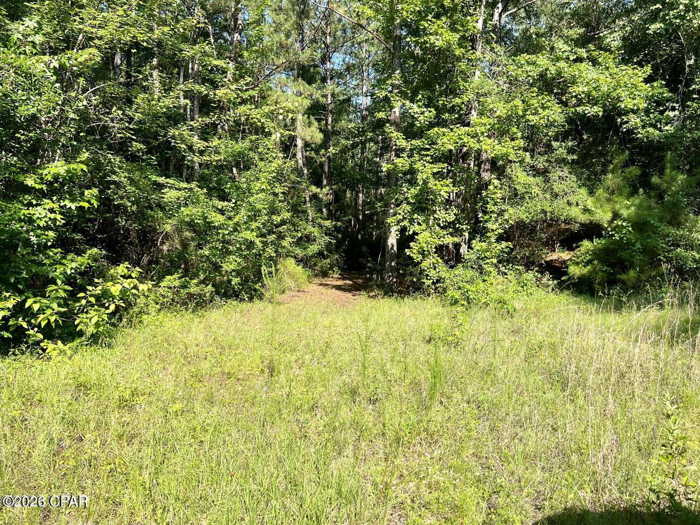 Image 6 For 00 Broom Road