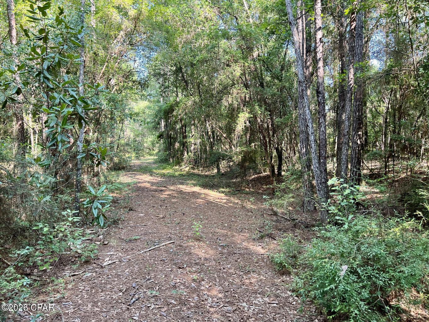 Image 7 For 00 Broom Road