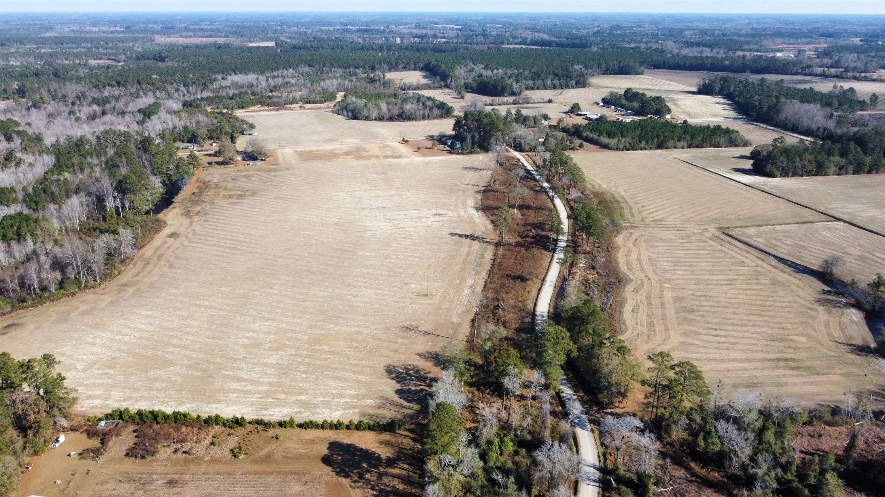 tbd Black Creek Rd. Nichols, SC 29581