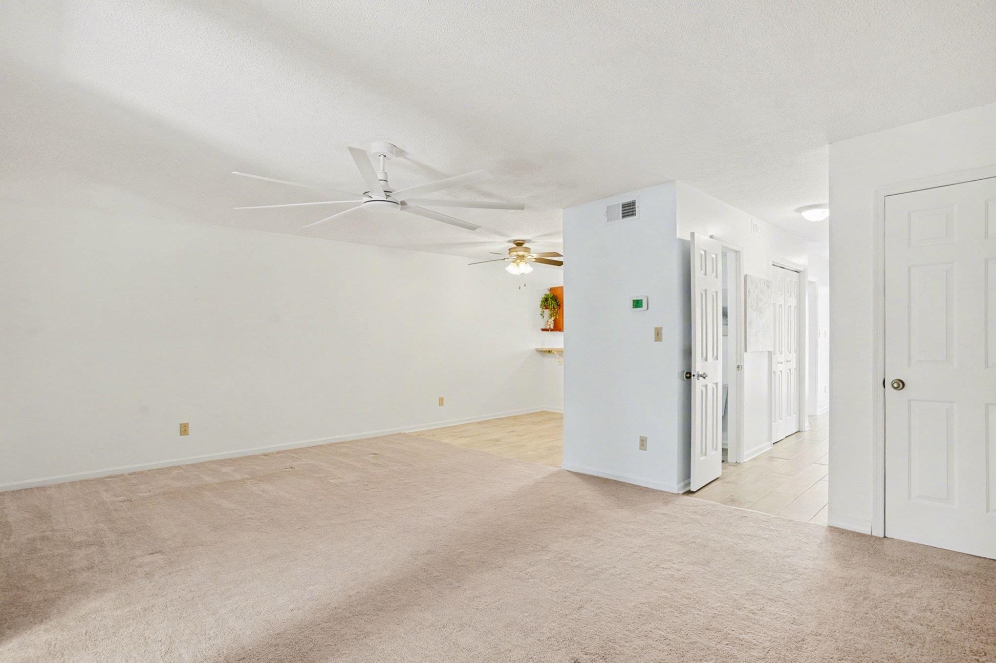 2610065 | Photo 20