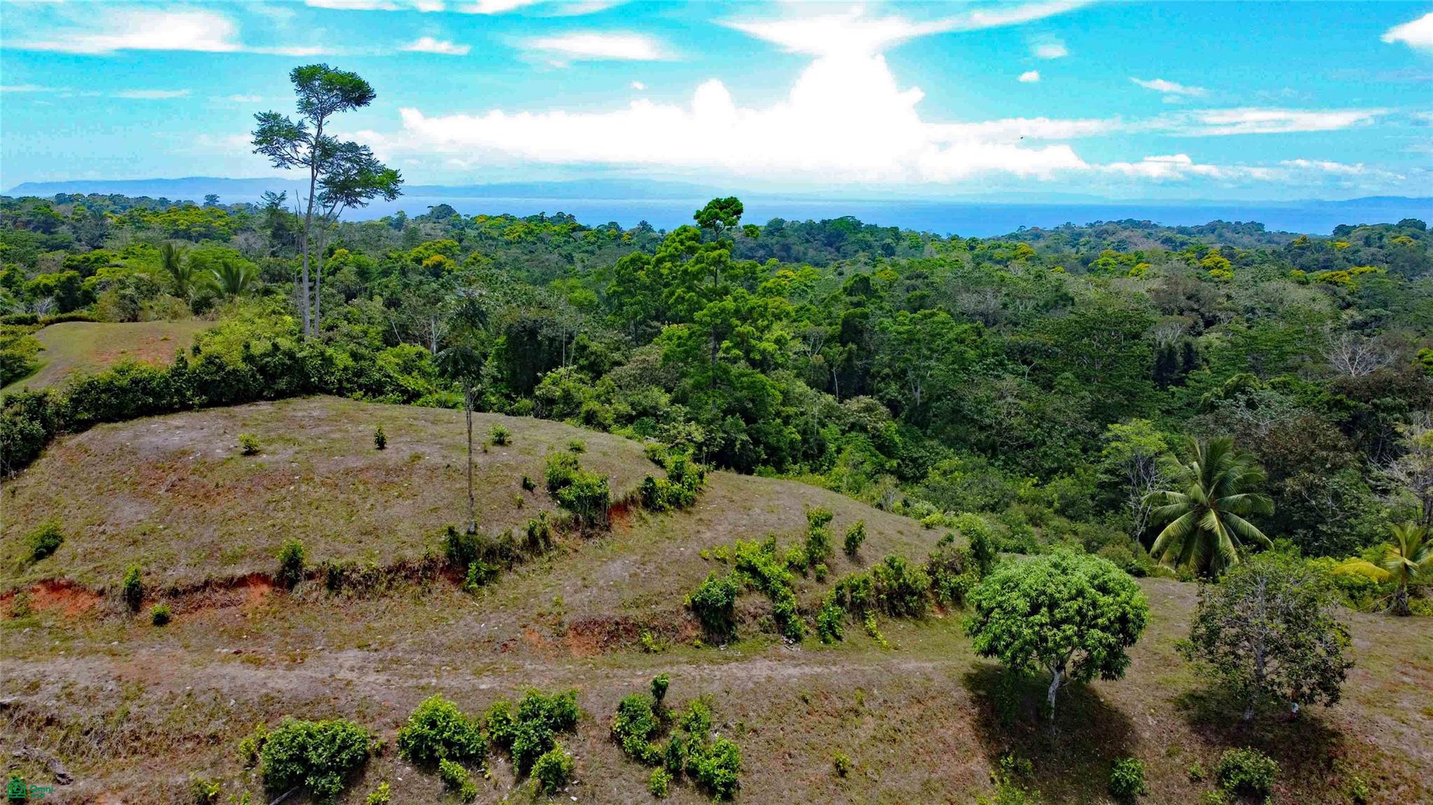  bed Land For Sale in Golfito, Puntarenas - 1