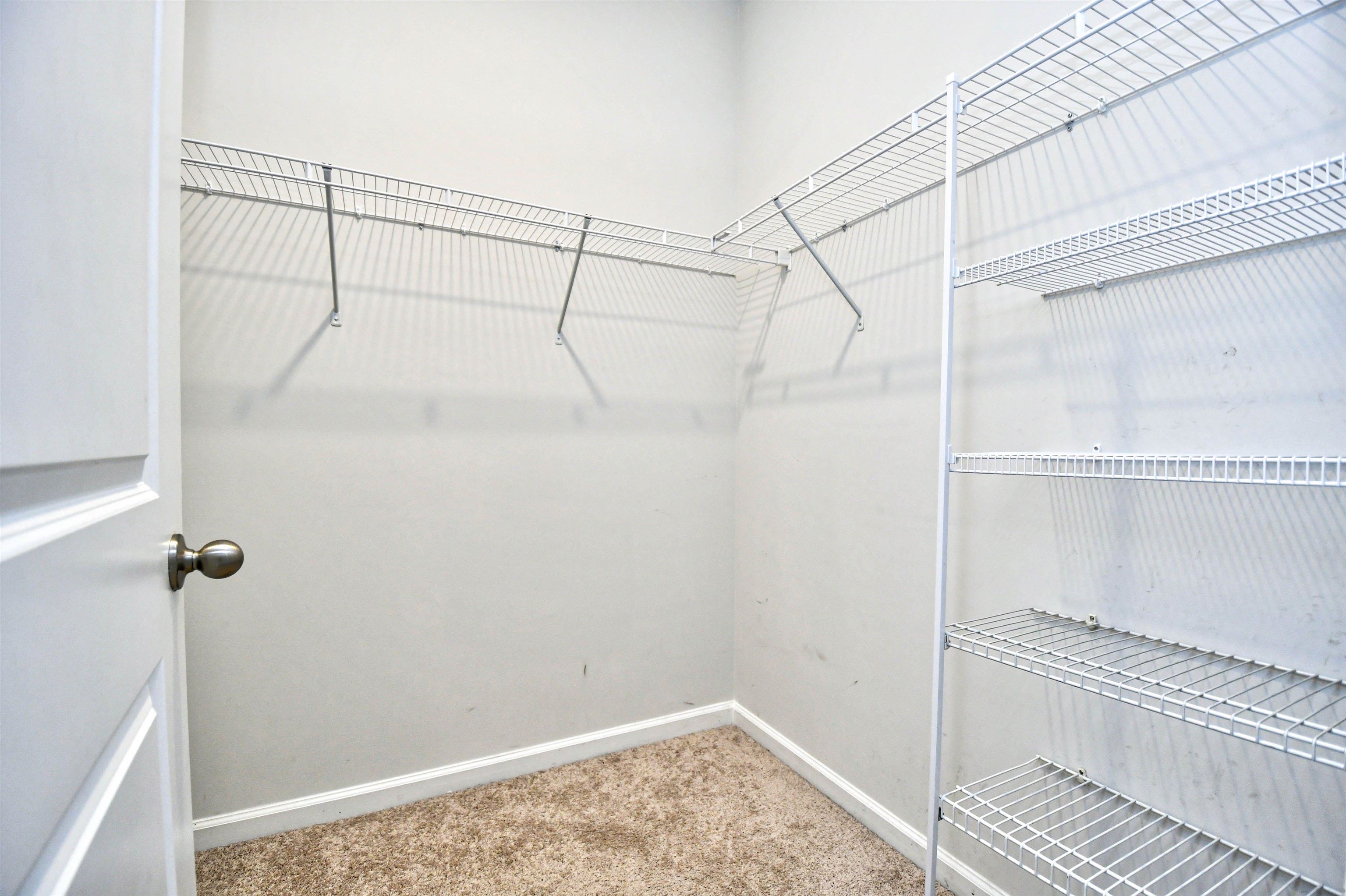 2610137 | Photo 19