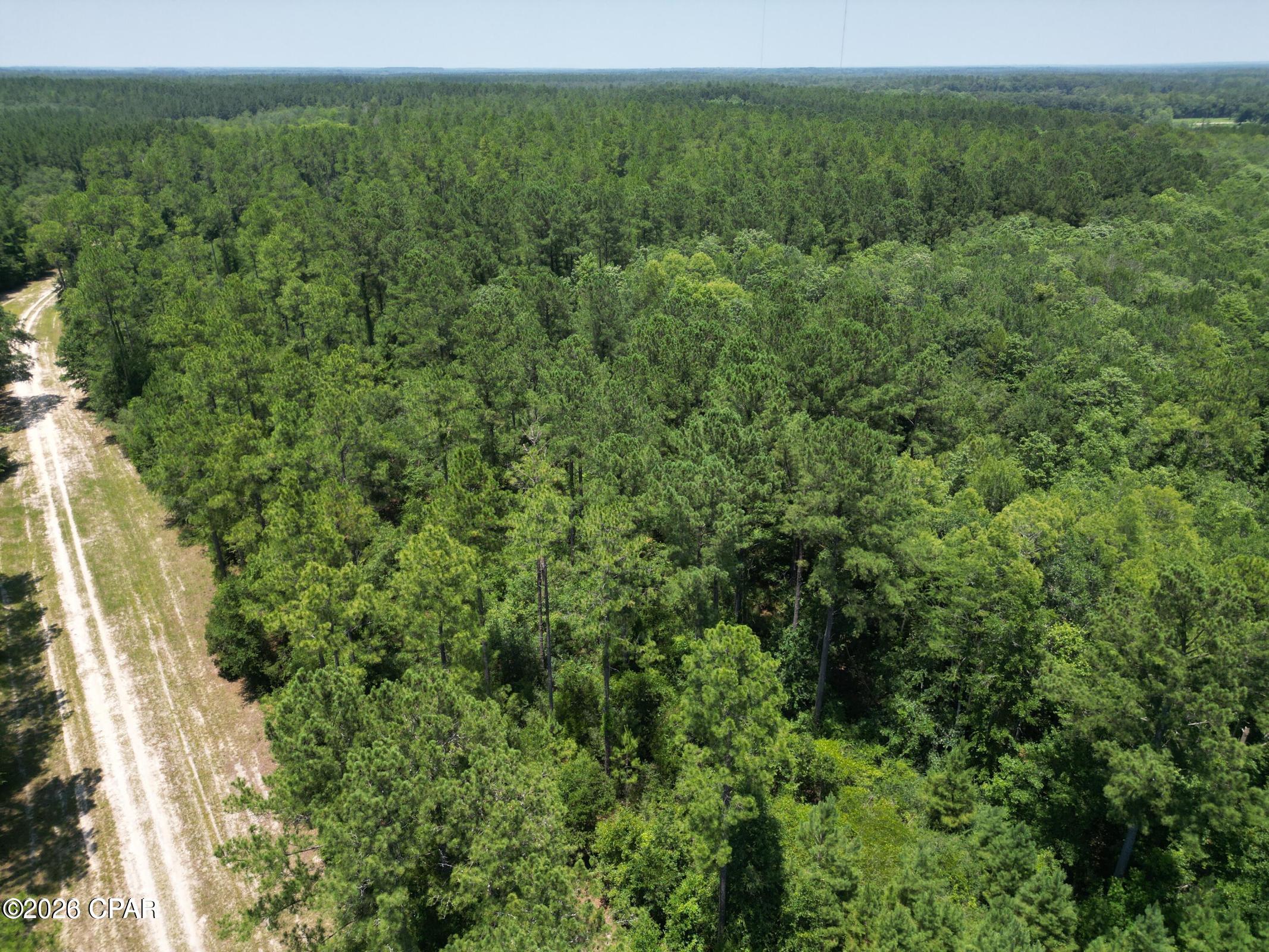 Image 2 For Lot 88 Turkey Oak Trail