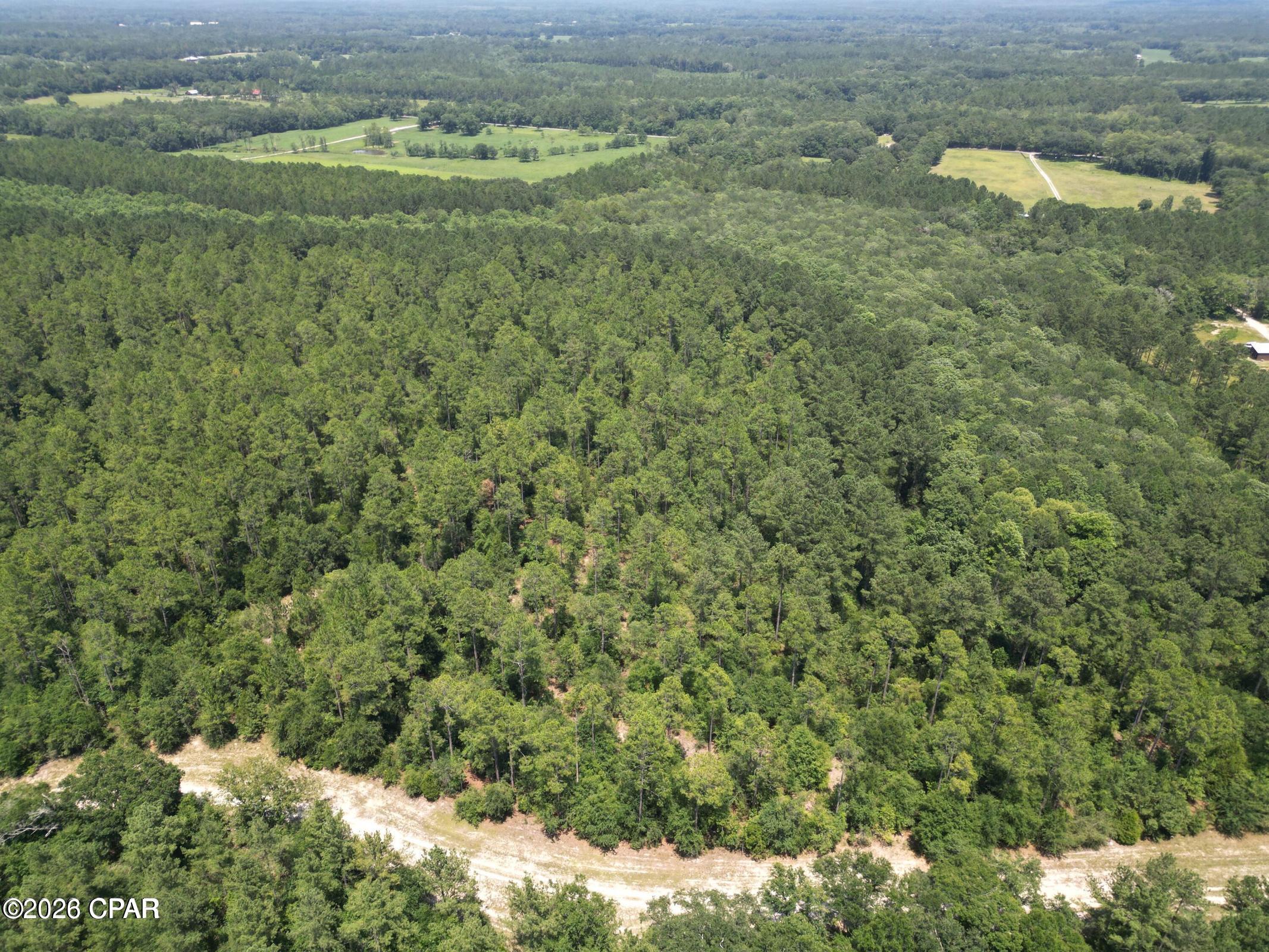 Image 3 For Lot 88 Turkey Oak Trail