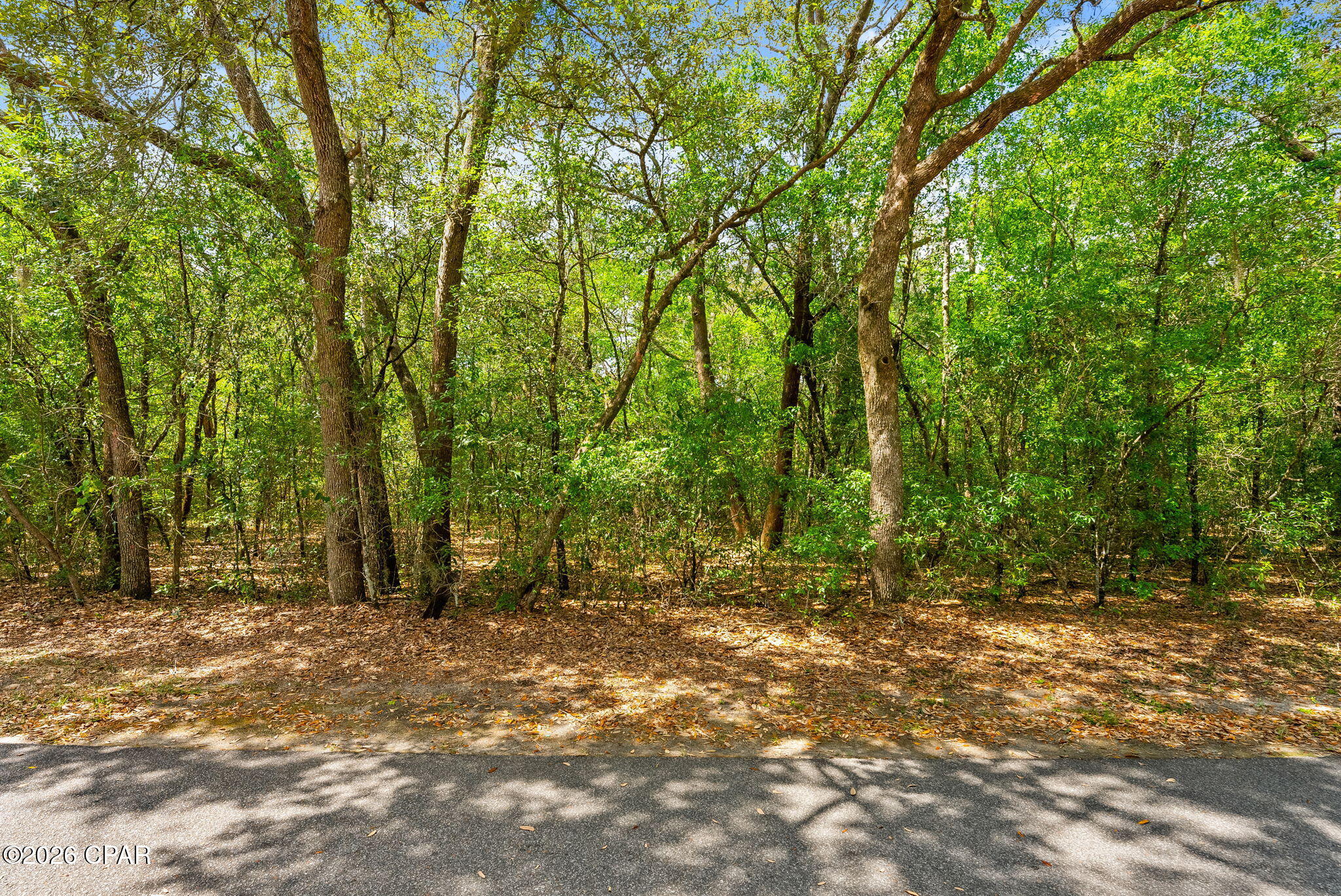 Image 14 For 000 Quail Ridge Drive