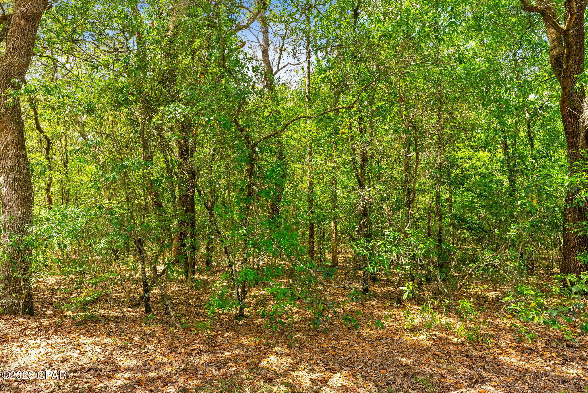 Image 16 For 000 Quail Ridge Drive
