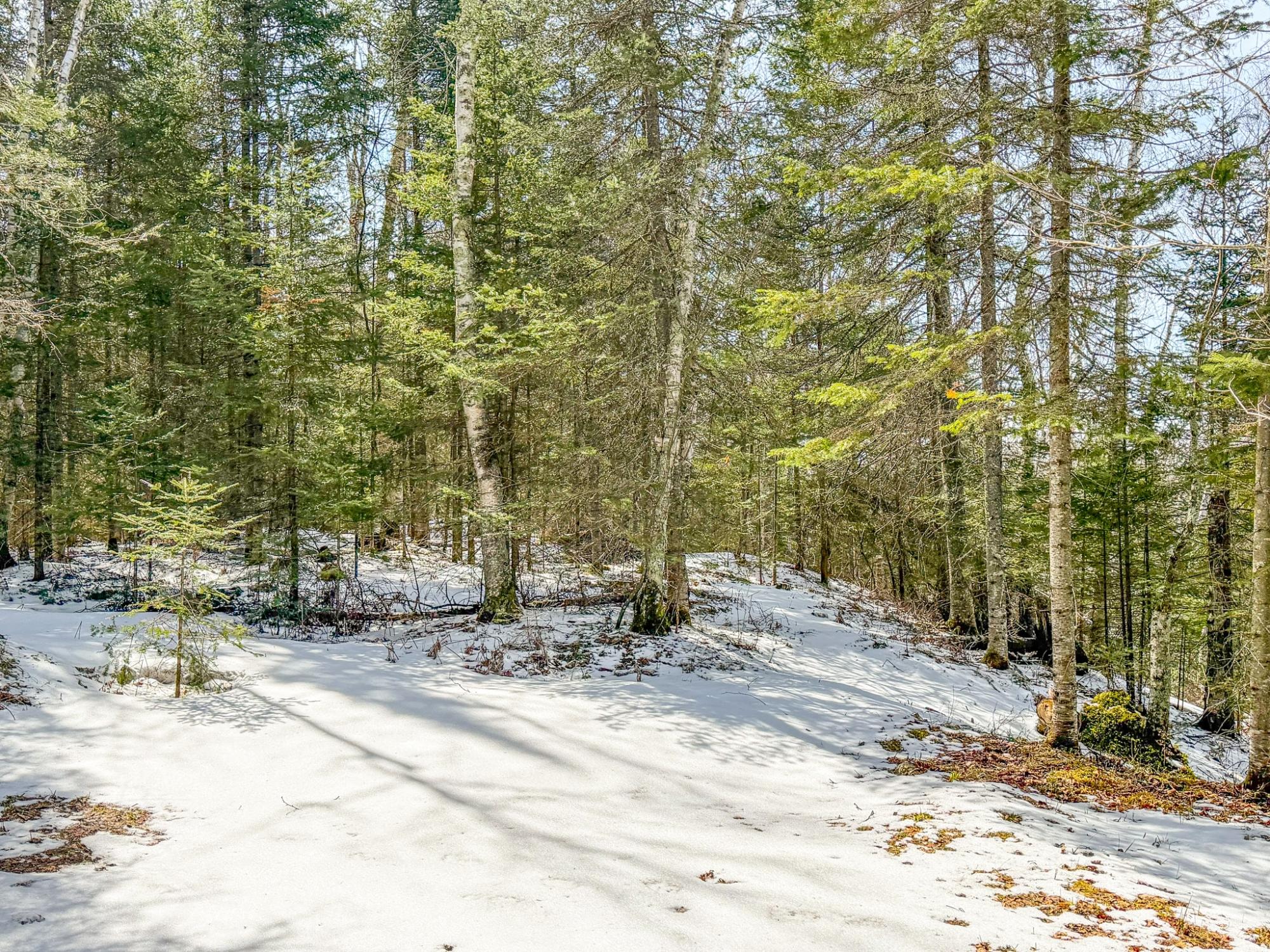 Island Lake LDF Property W3472 Island Point Rd Photo 79