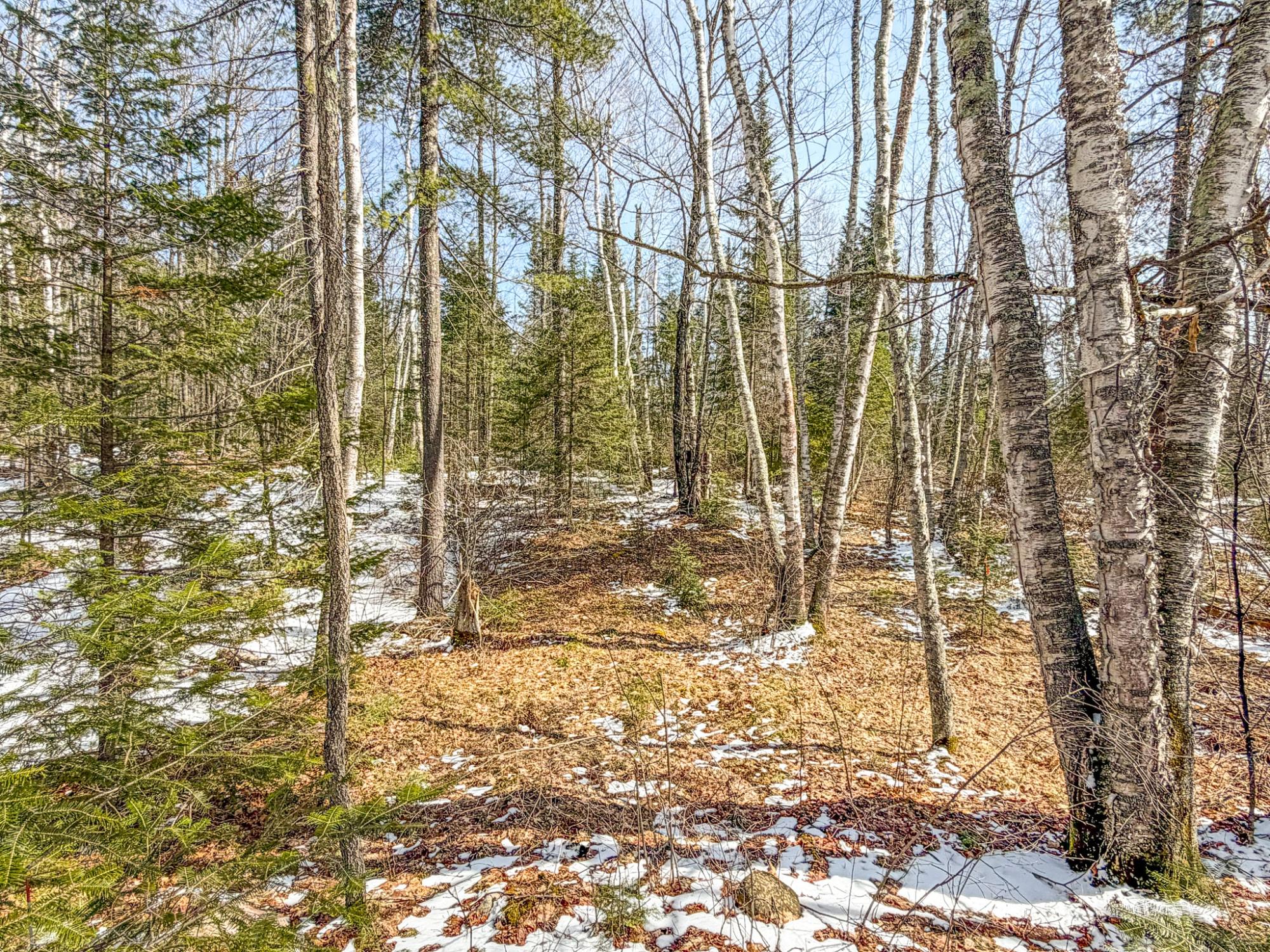 Island Lake LDF Property W3472 Island Point Rd Photo 80