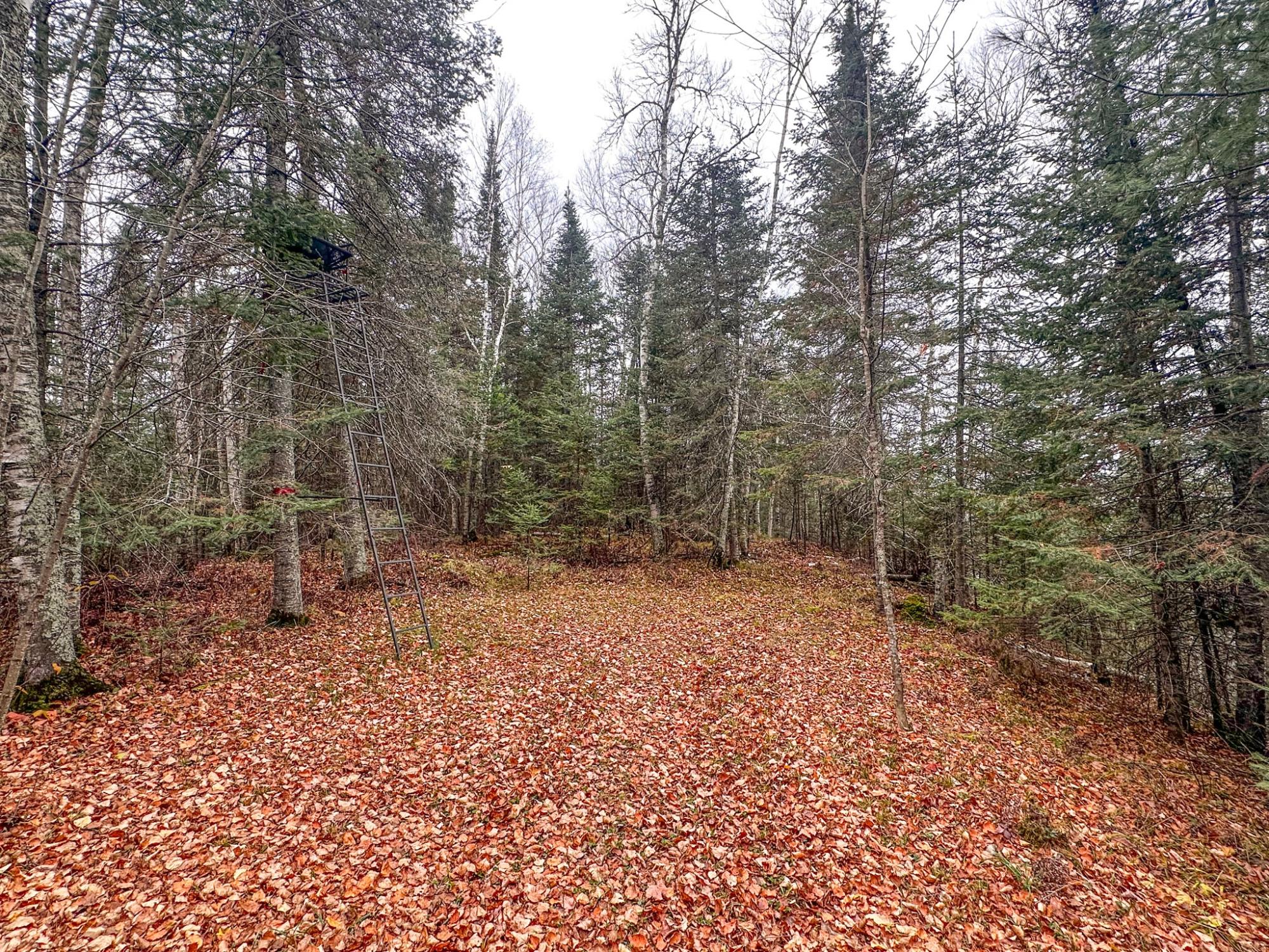 Island Lake LDF Property W3472 Island Point Rd Photo 84