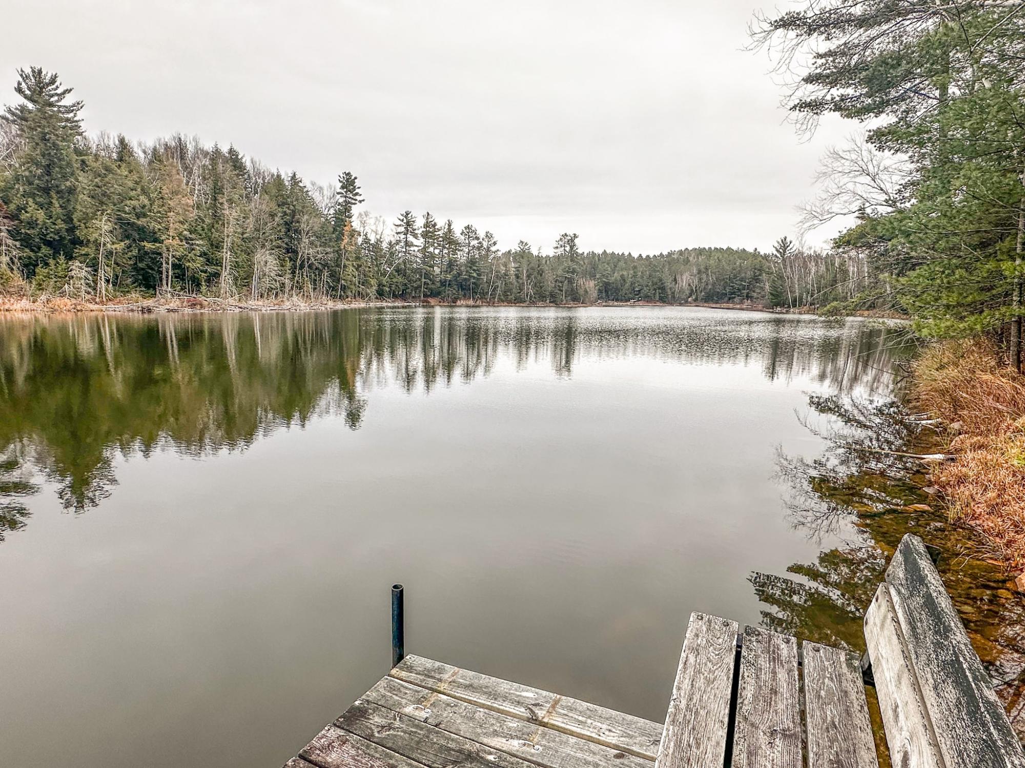 Island Lake LDF Property W3472 Island Point Rd Photo 88