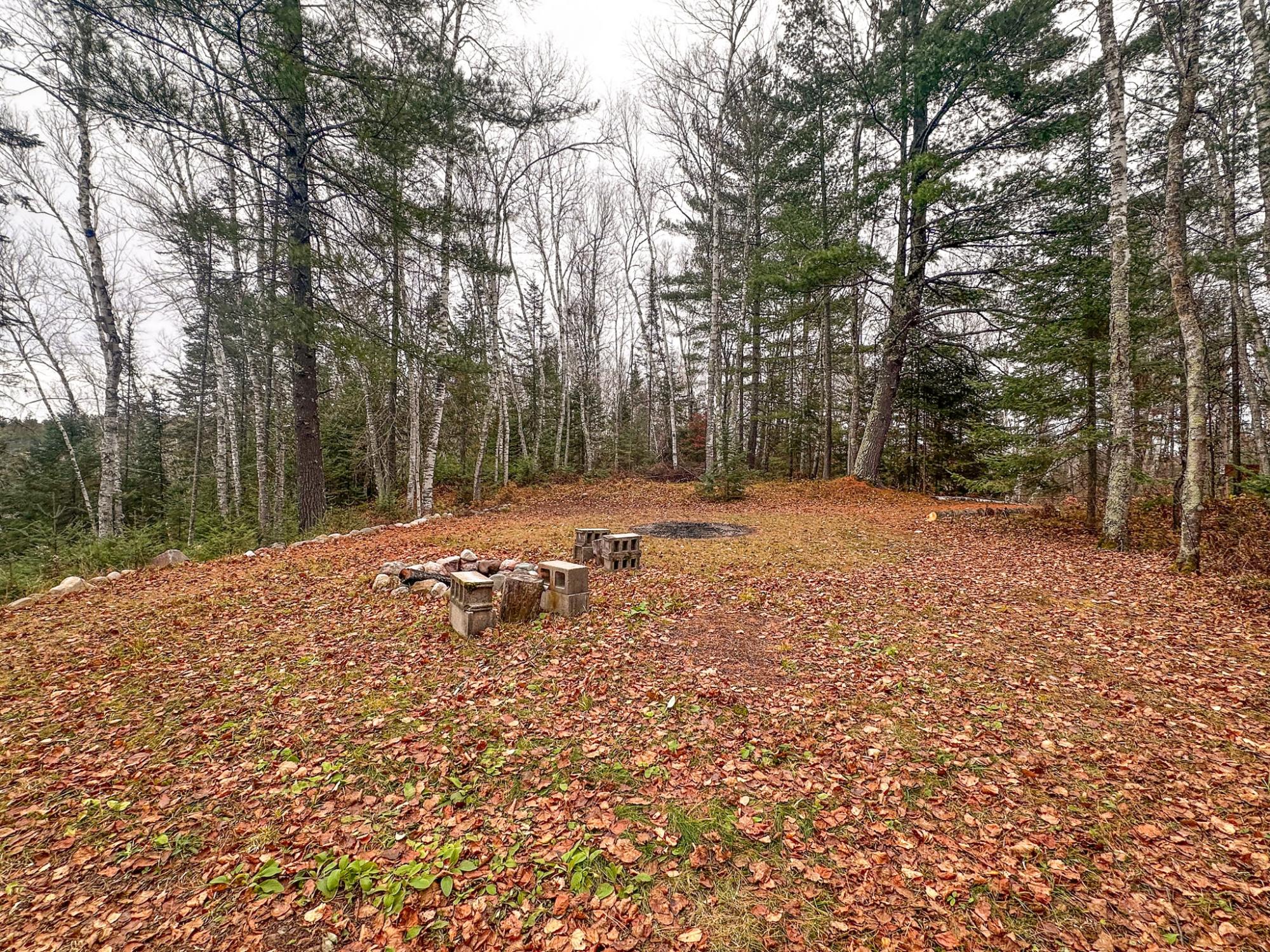 Island Lake LDF Property W3472 Island Point Rd Photo 91