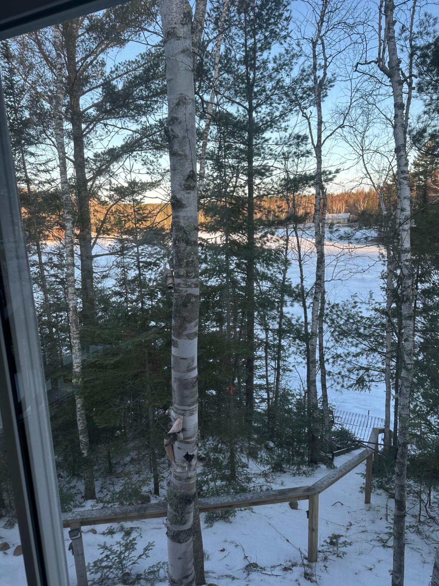 Island Lake LDF Property W3472 Island Point Rd Photo 99