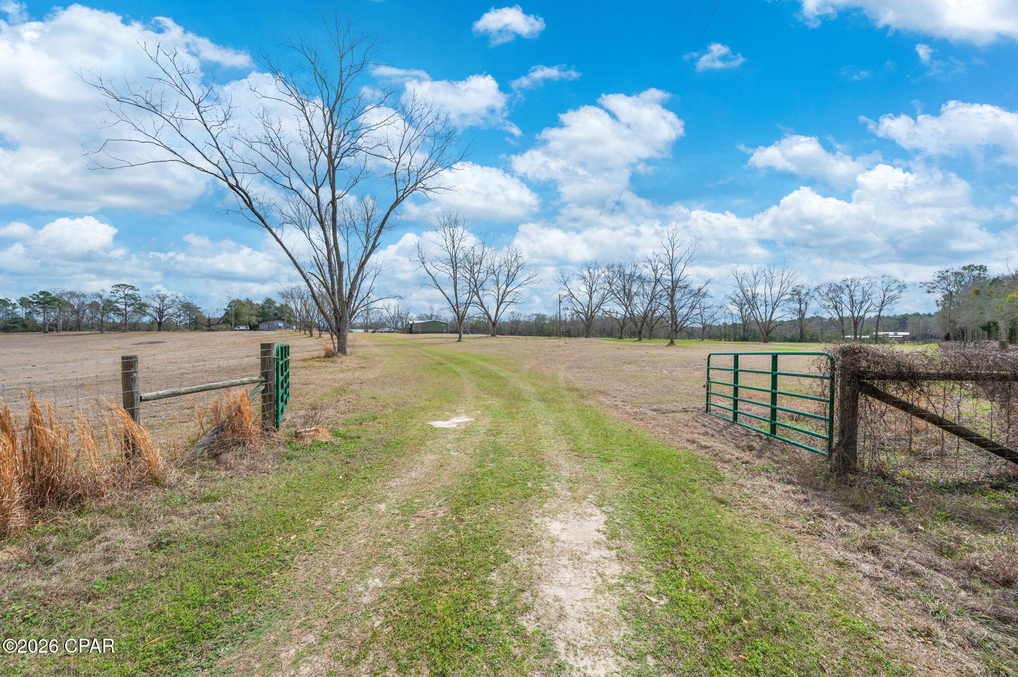 Listing photo id 36 for 686 Alford Road