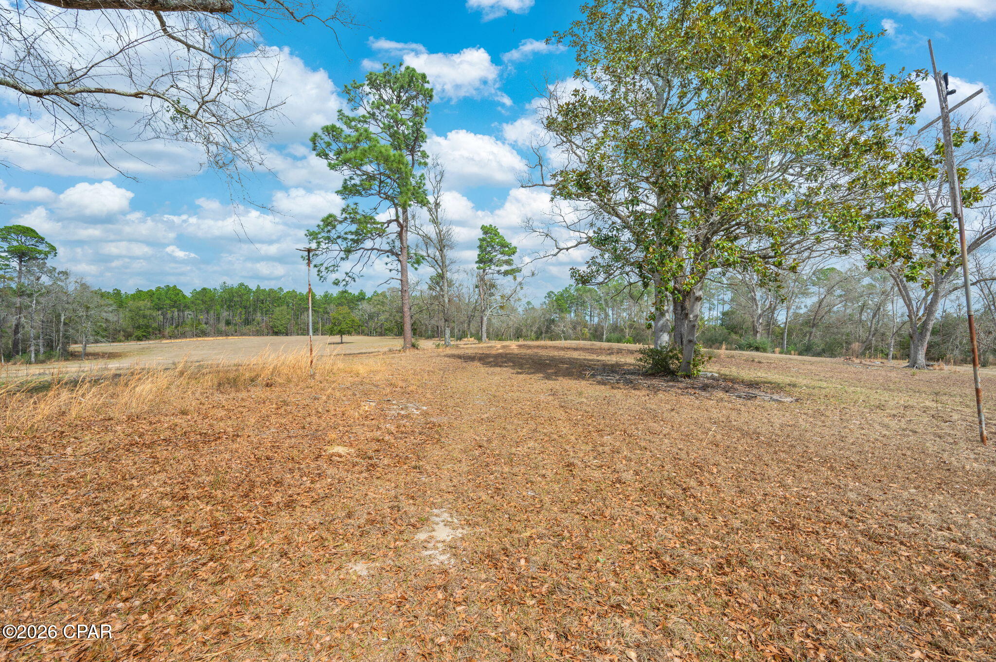Listing photo id 46 for 686 Alford Road