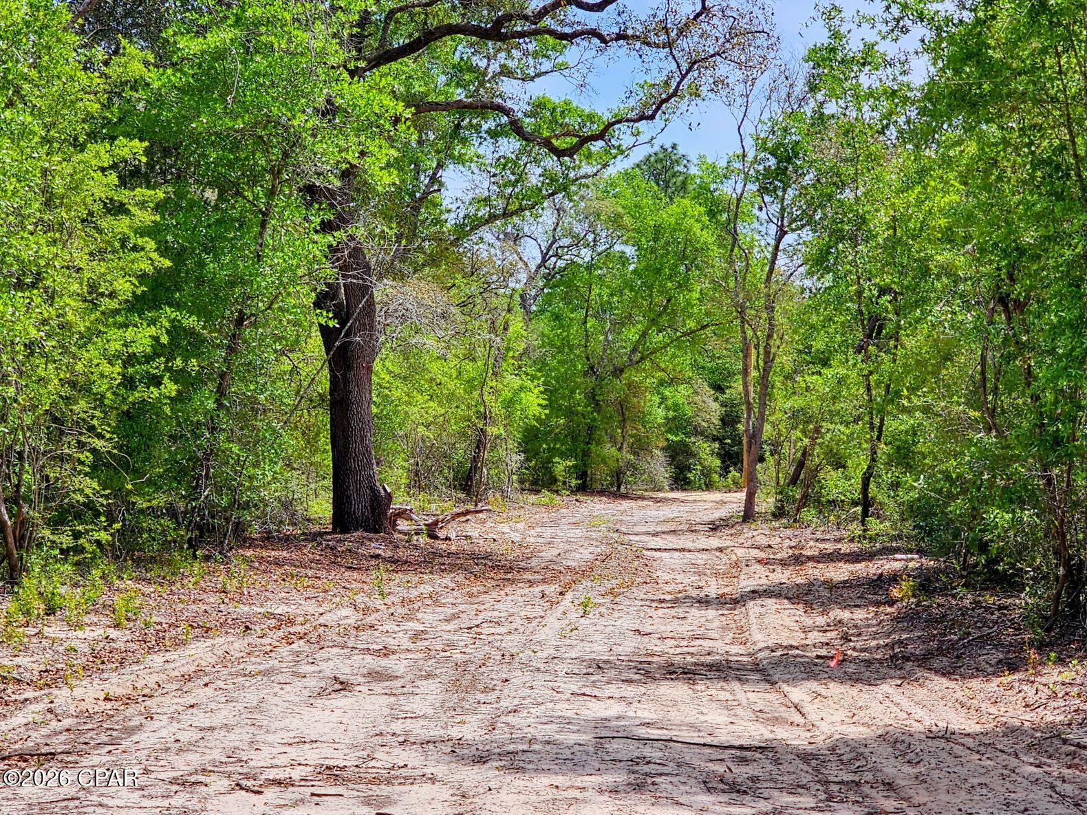 Image 4 For 21955 Mudge Road