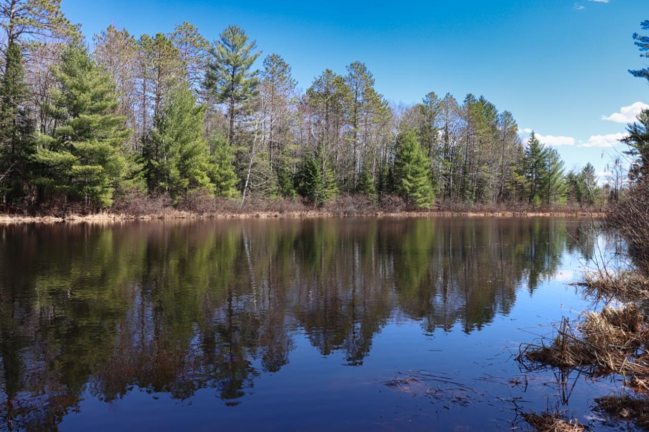 River Property Property 15601 Hwy 70 Photo 48
