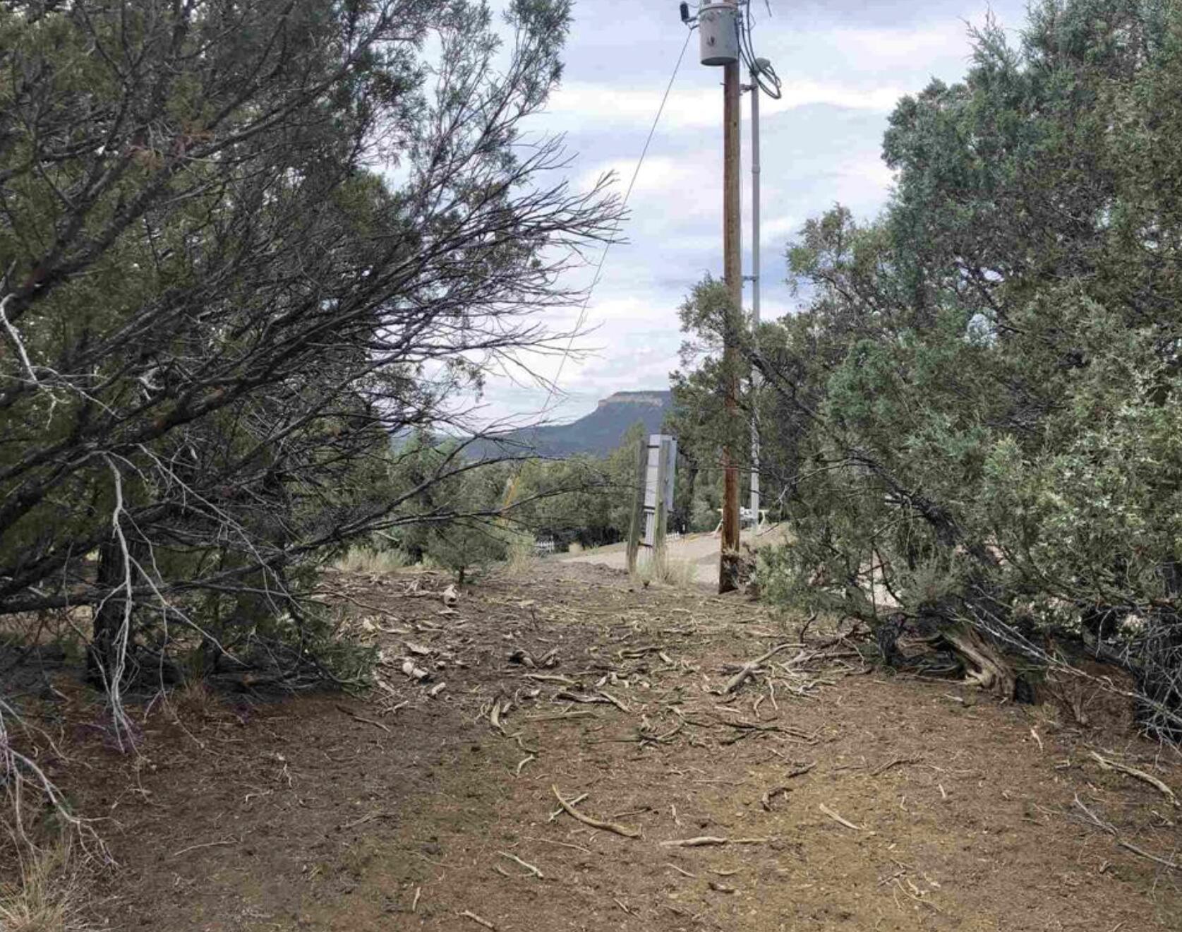Photo 5 — S S Leaning Lot A
