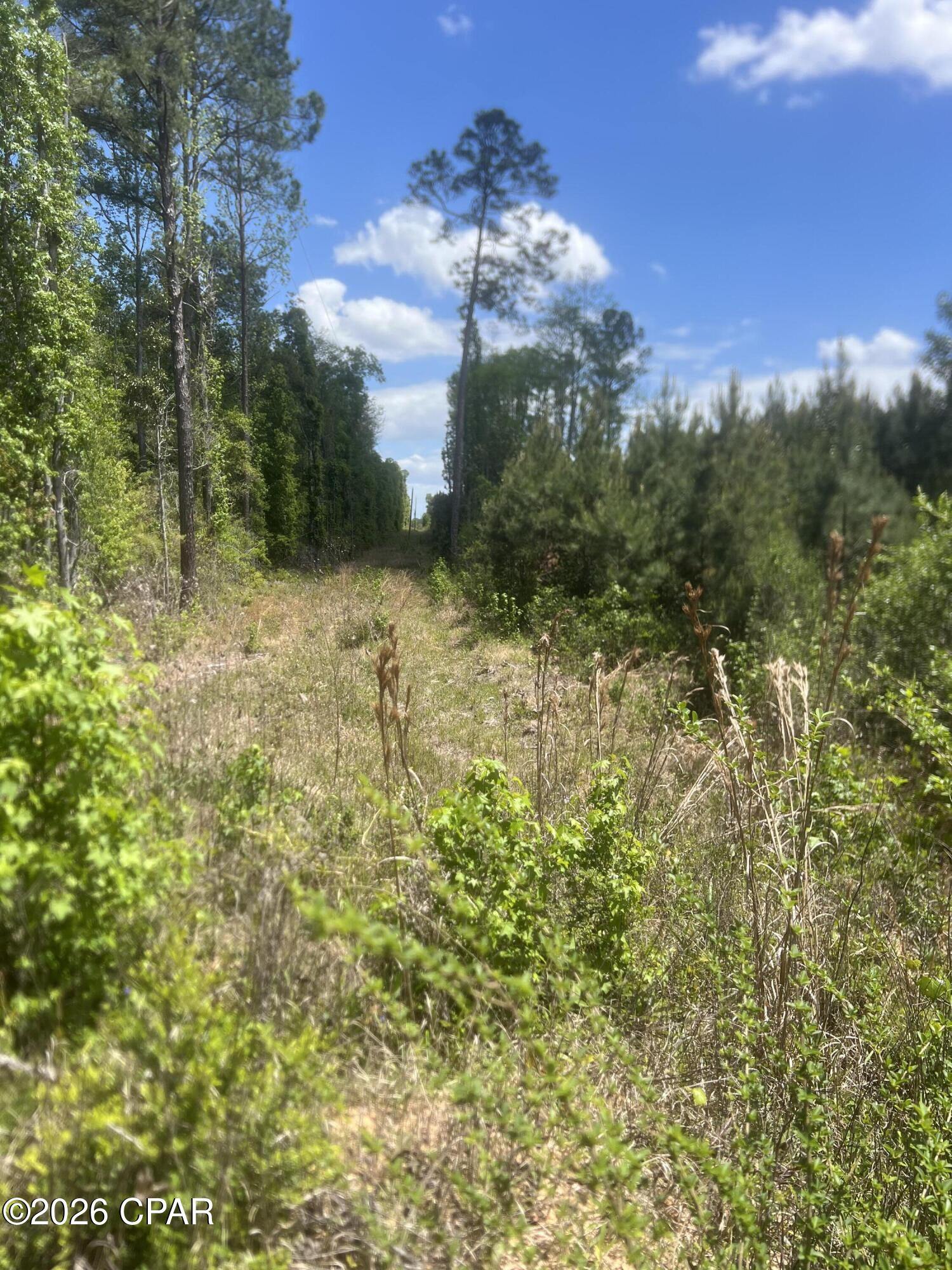 Image 4 For 0 Goodman Hill Road