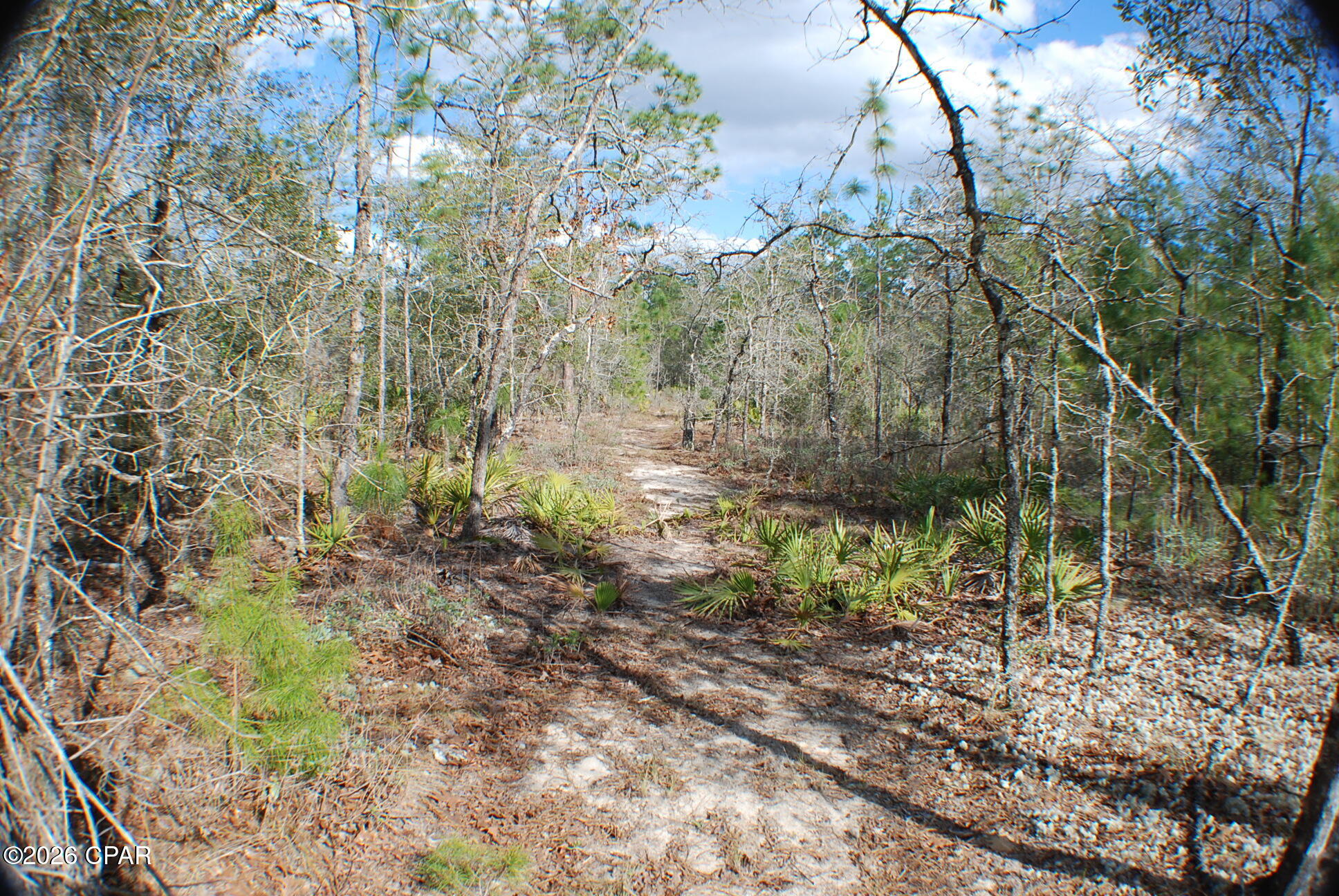 Image 14 For 0 Dickerson Road